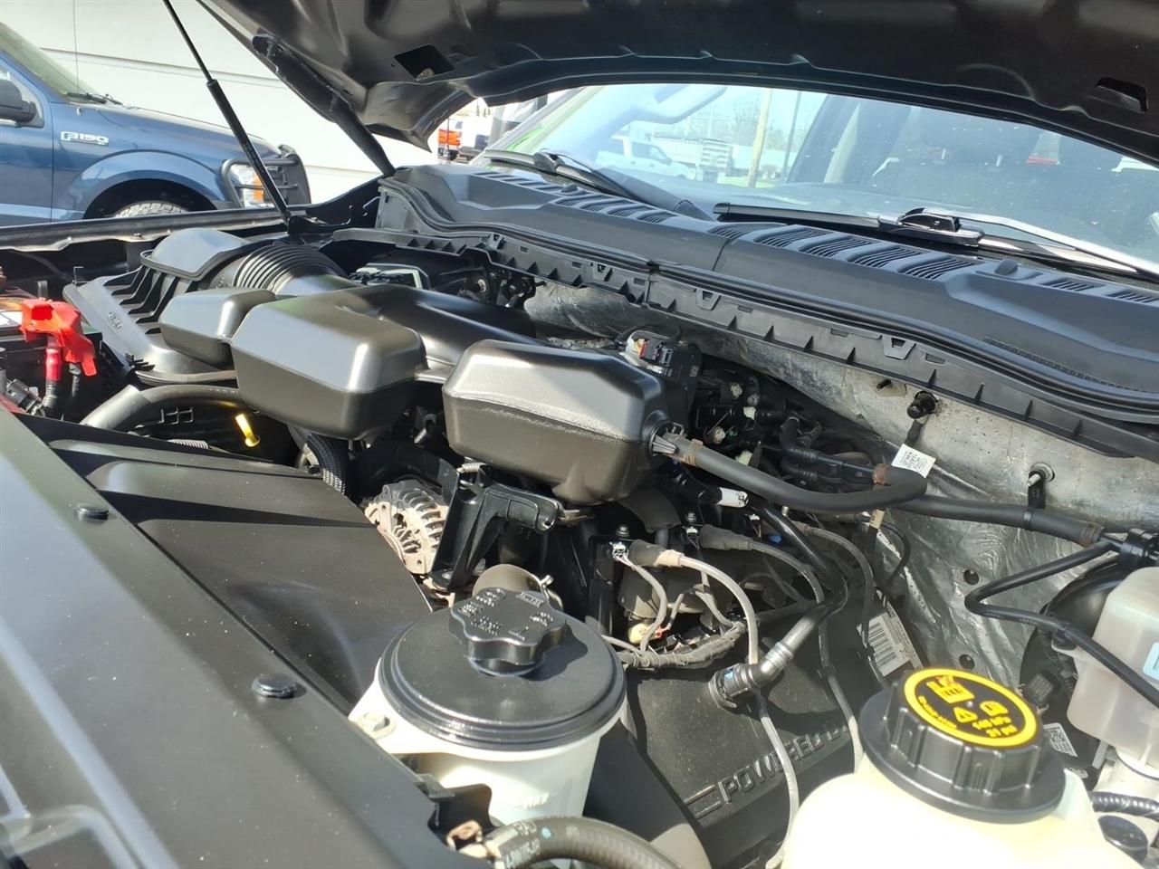 Ford Super Duty F-250 SRW King Ranch 4WD Crew Cab 8' Box 2019