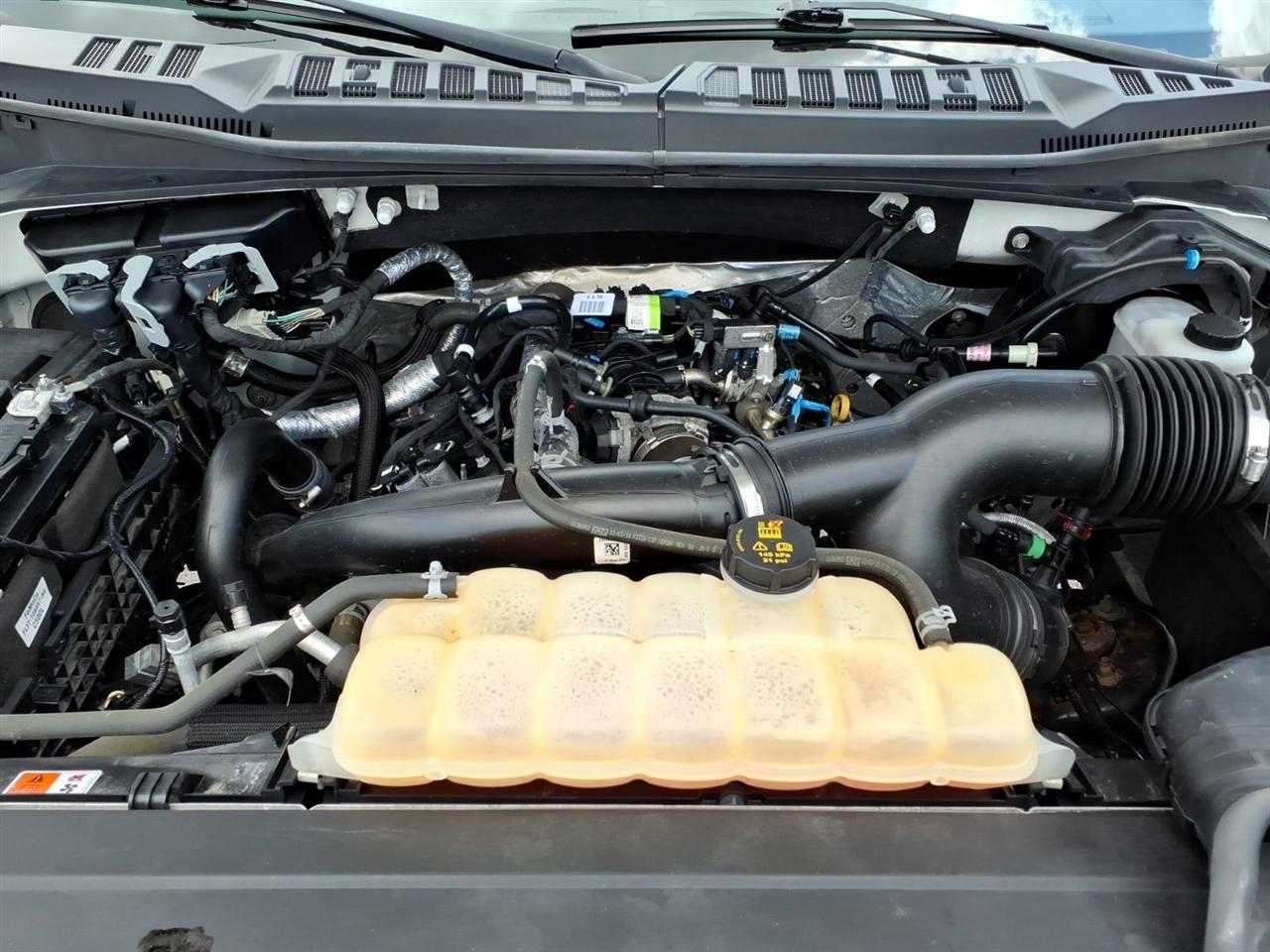 Ford F-150 XL 4WD 8 ft. 2019