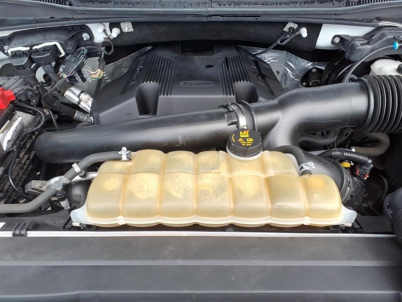 Ford F-150 XL 4WD SuperCrew 5.5' Box 2019