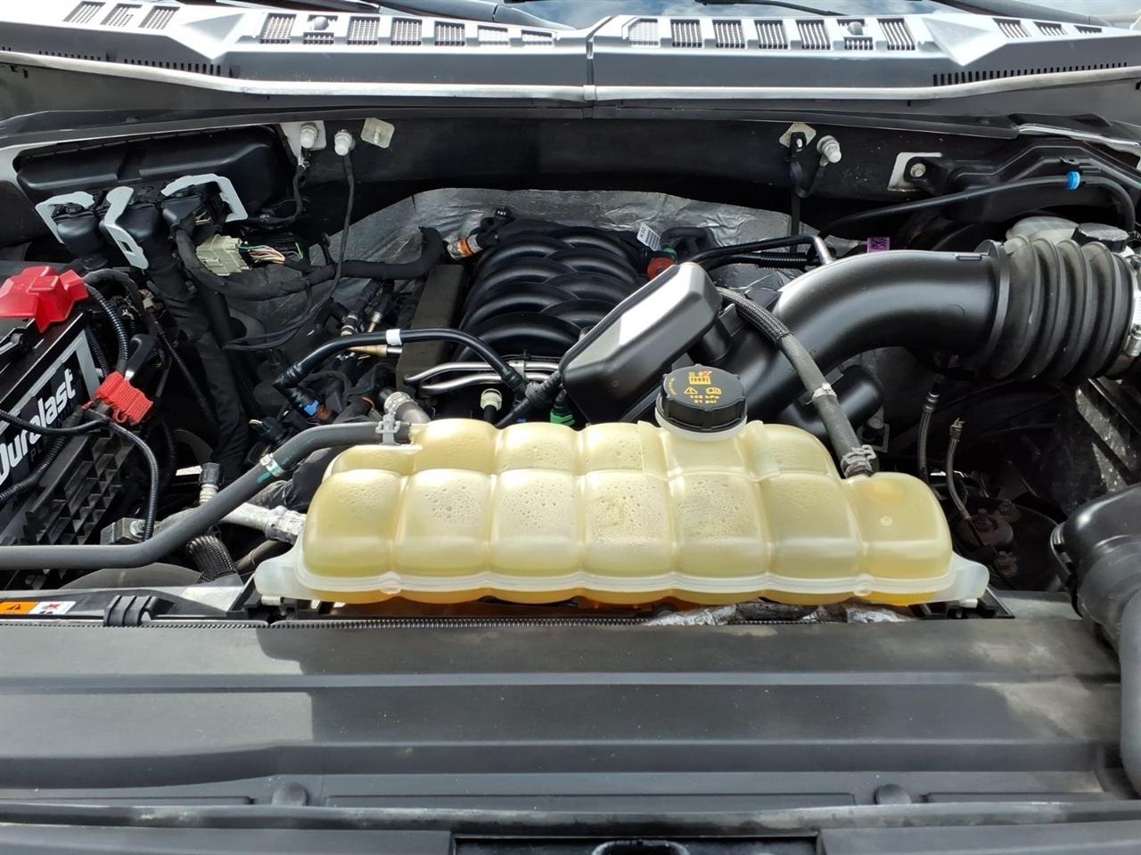 Ford F-150 XL 4WD SuperCrew 6.5' Box 2019