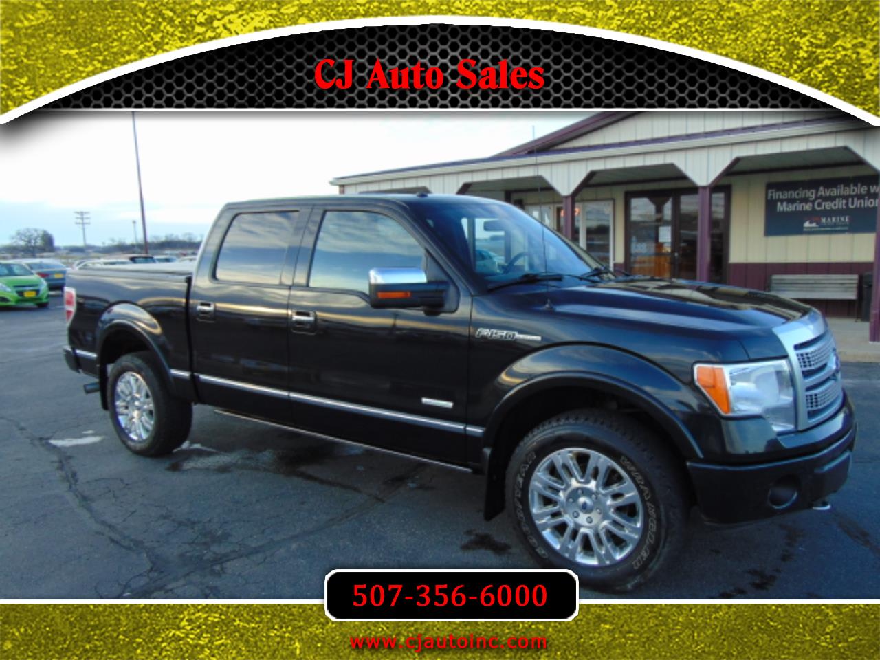 2012 Ford F-150 Platinum SuperCrew 5.5-ft. Bed 4WD