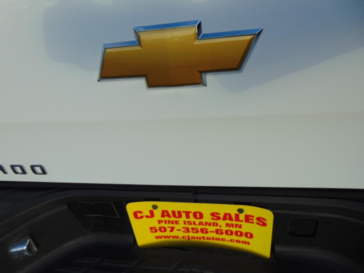 Chevrolet Silverado 1500 Work Truck 2WD 2010