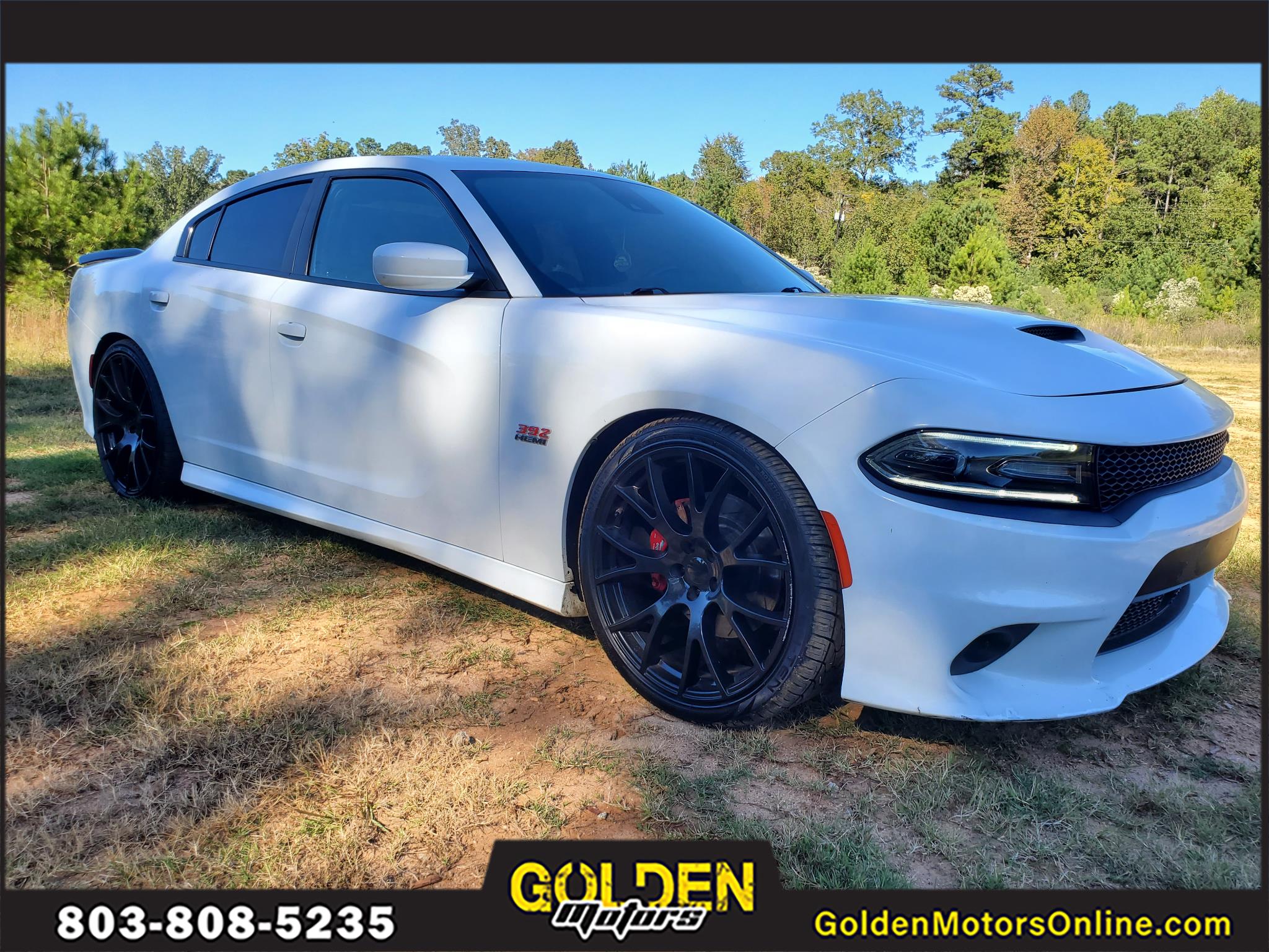 Dodge Charger R/T Scat Pack RWD 2018