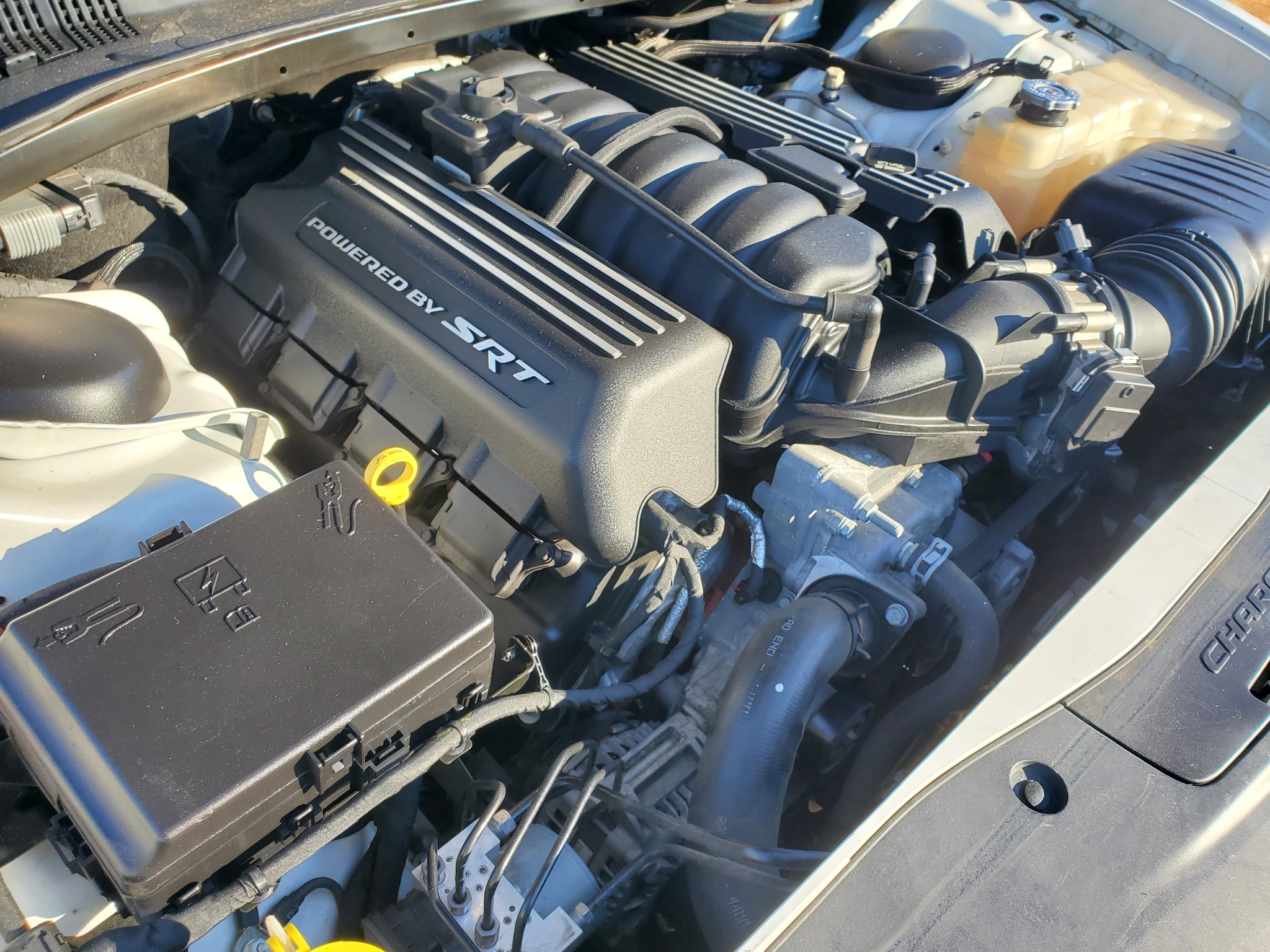 Dodge Charger R/T Scat Pack RWD 2018