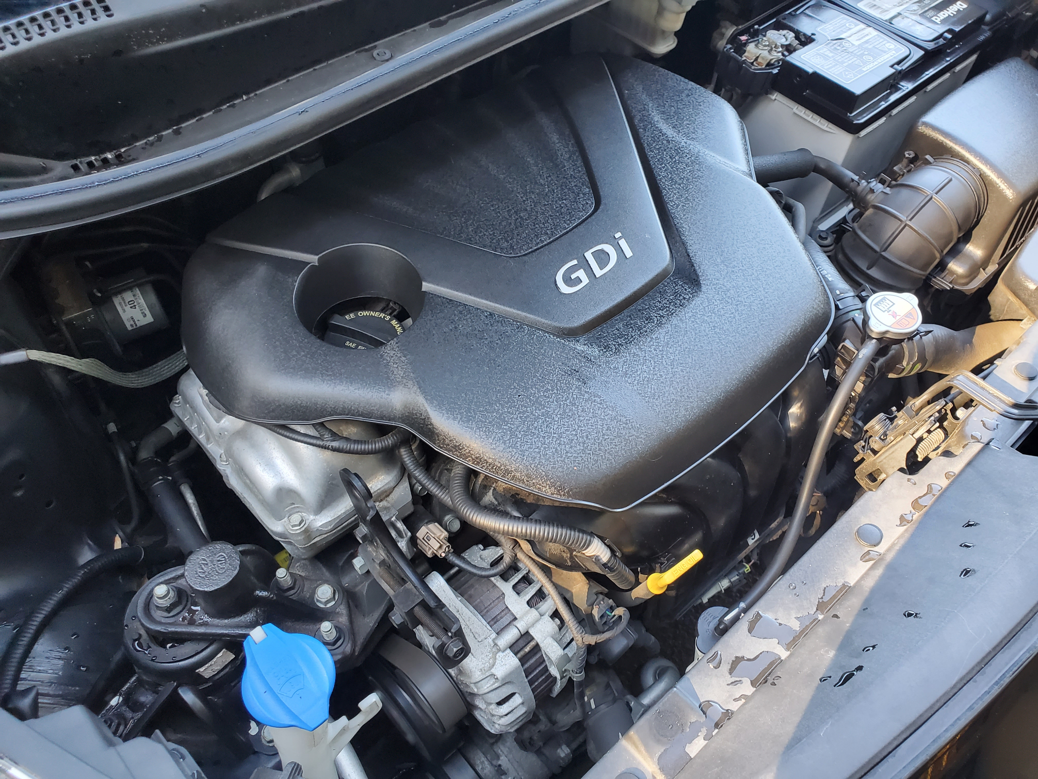 Kia Rio 5dr HB Auto LX 2013