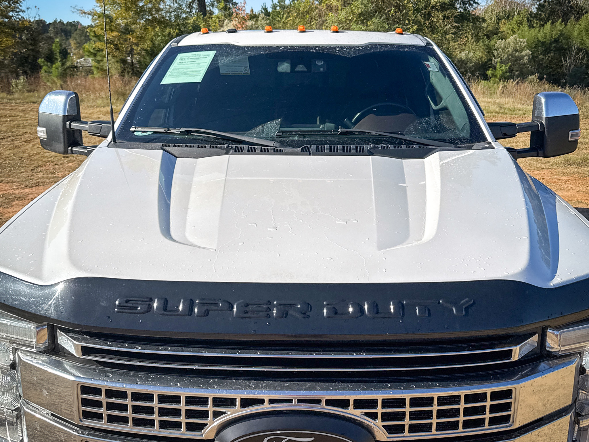 Ford Super Duty F-350 SRW Platinum 4WD Crew Cab 8' Box 2017