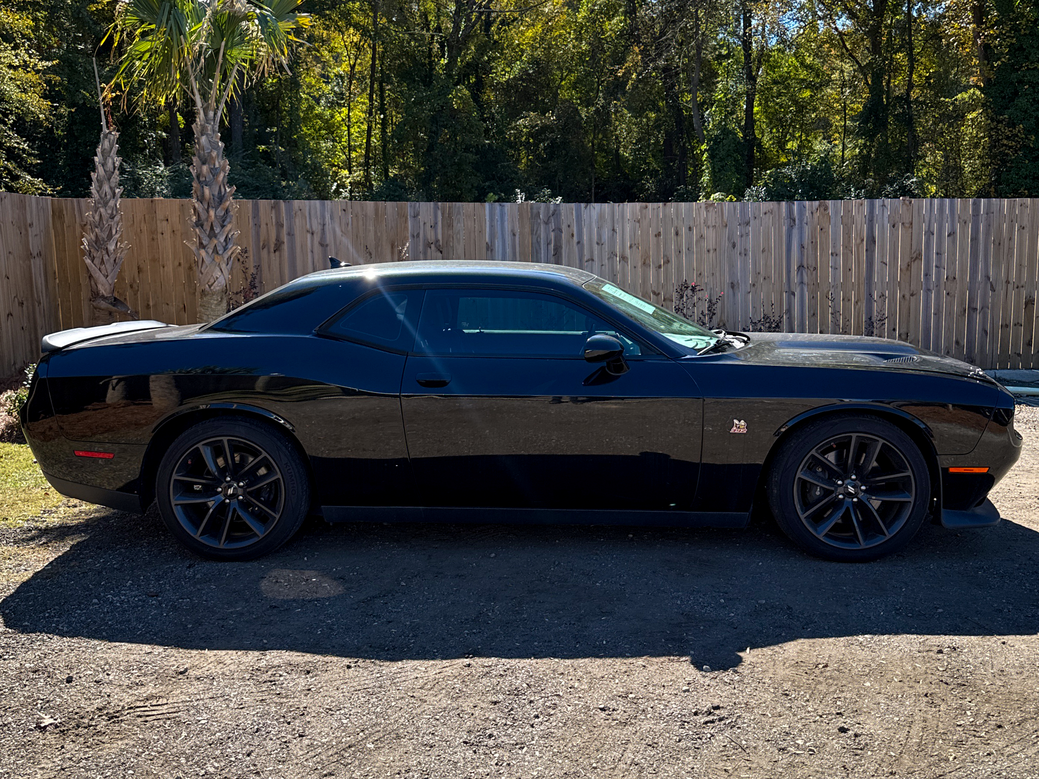 Dodge Challenger  2019