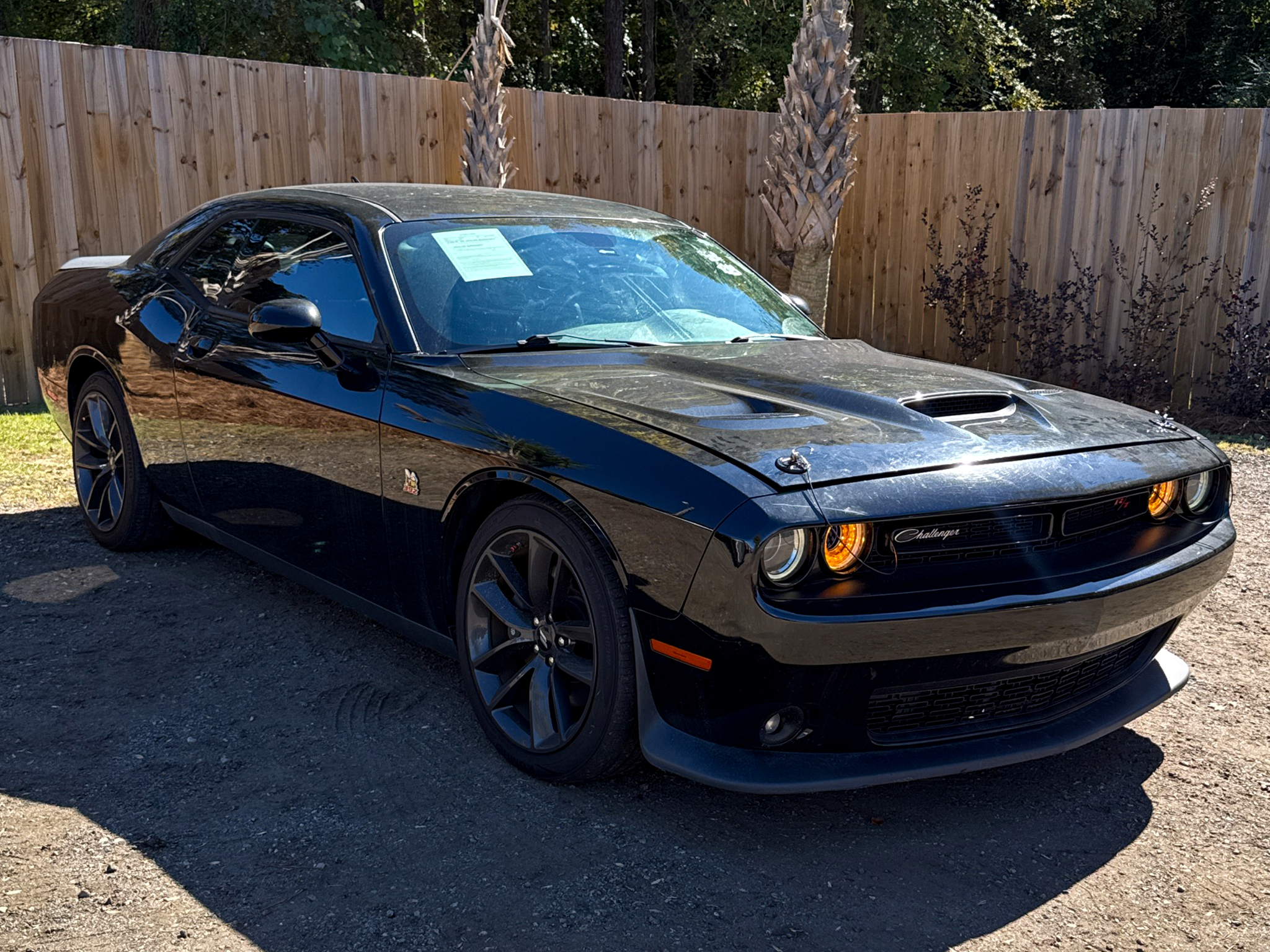 Dodge Challenger  2019