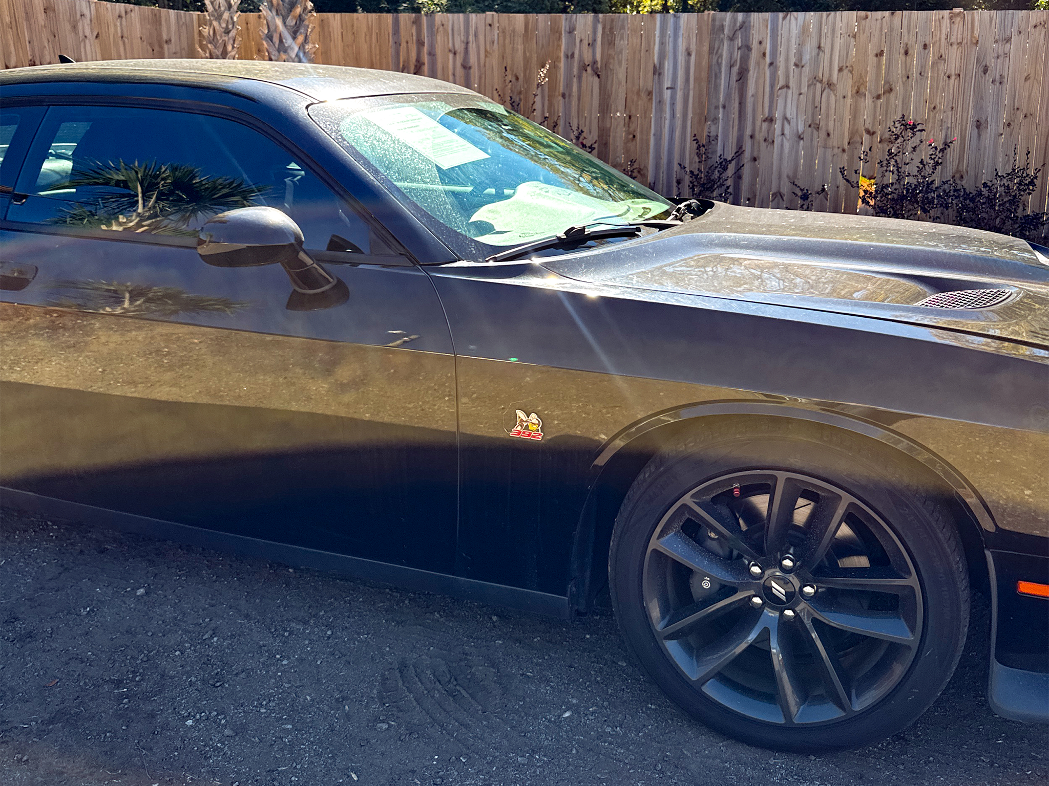 Dodge Challenger  2019