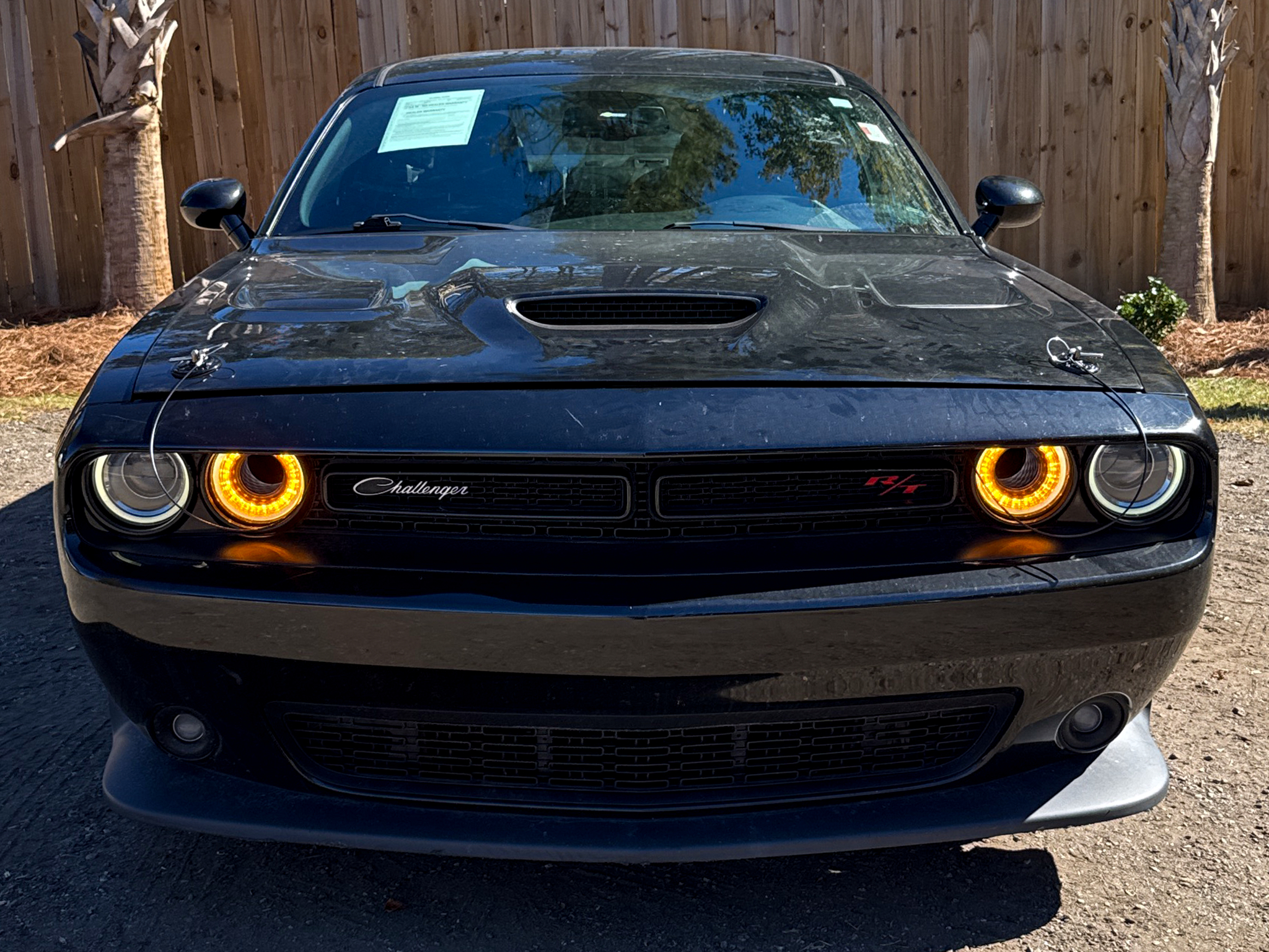Dodge Challenger  2019