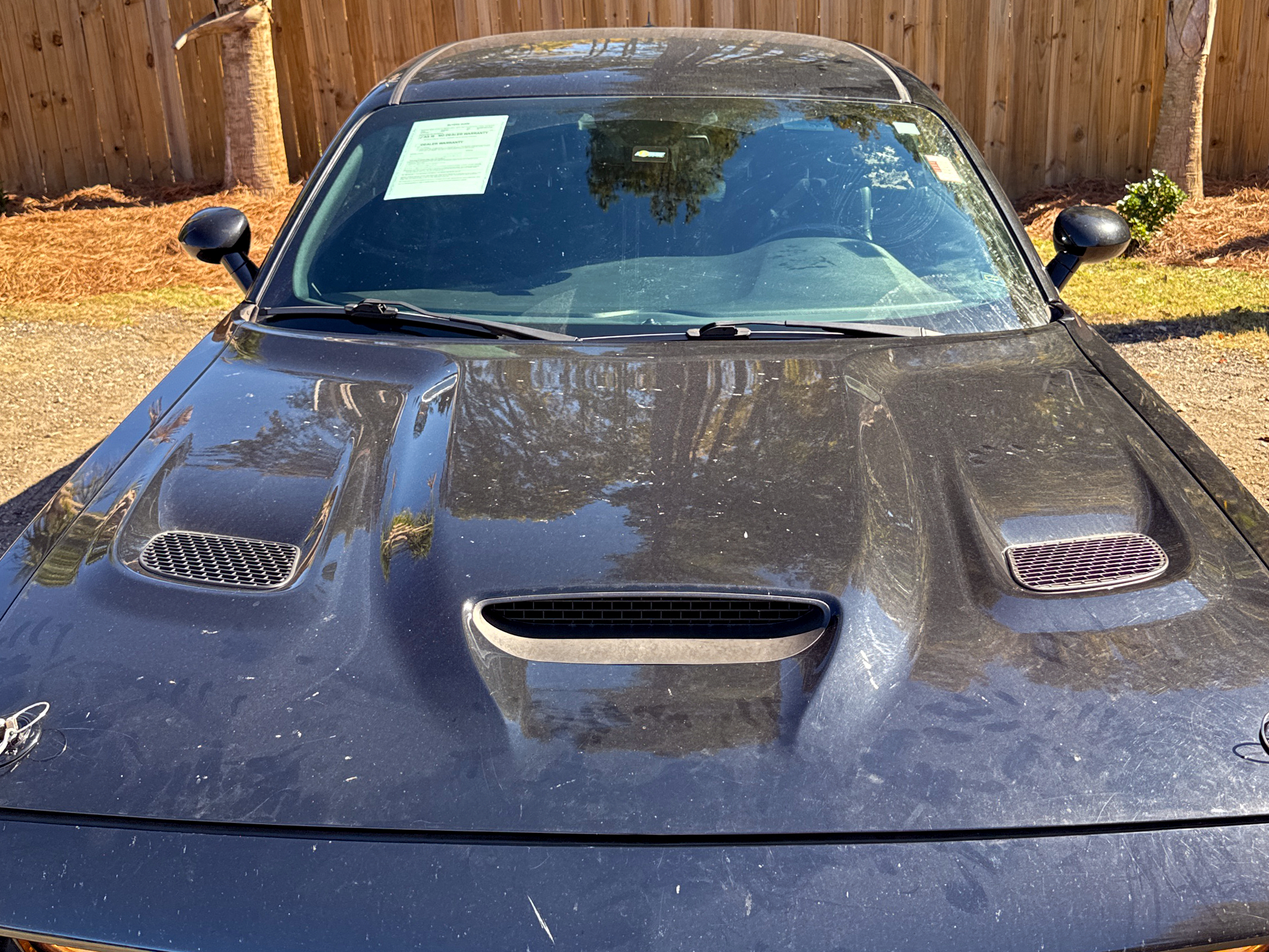 Dodge Challenger  2019