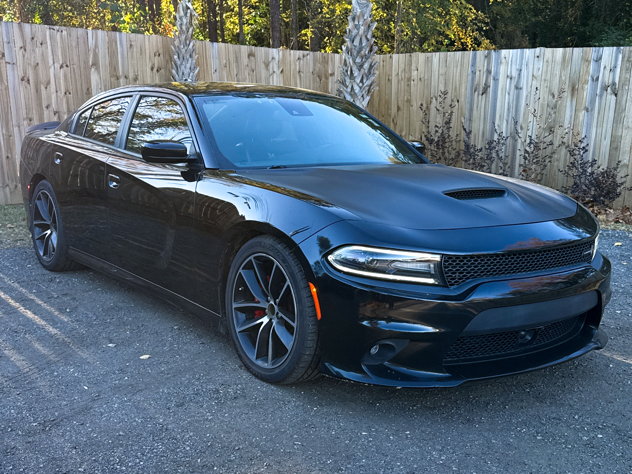 Dodge Charger  2016