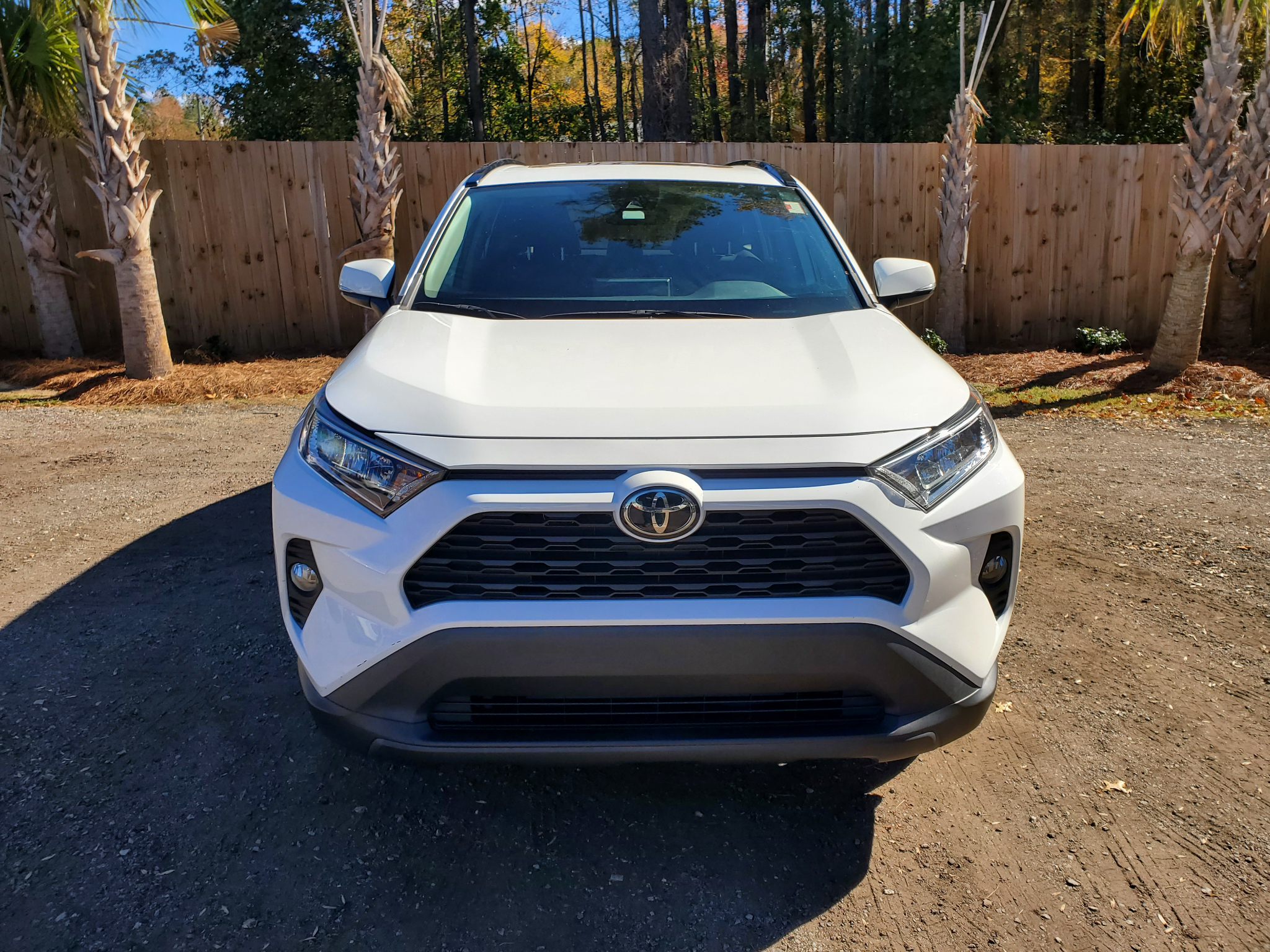 Toyota RAV4 XLE AWD (Natl) 2021