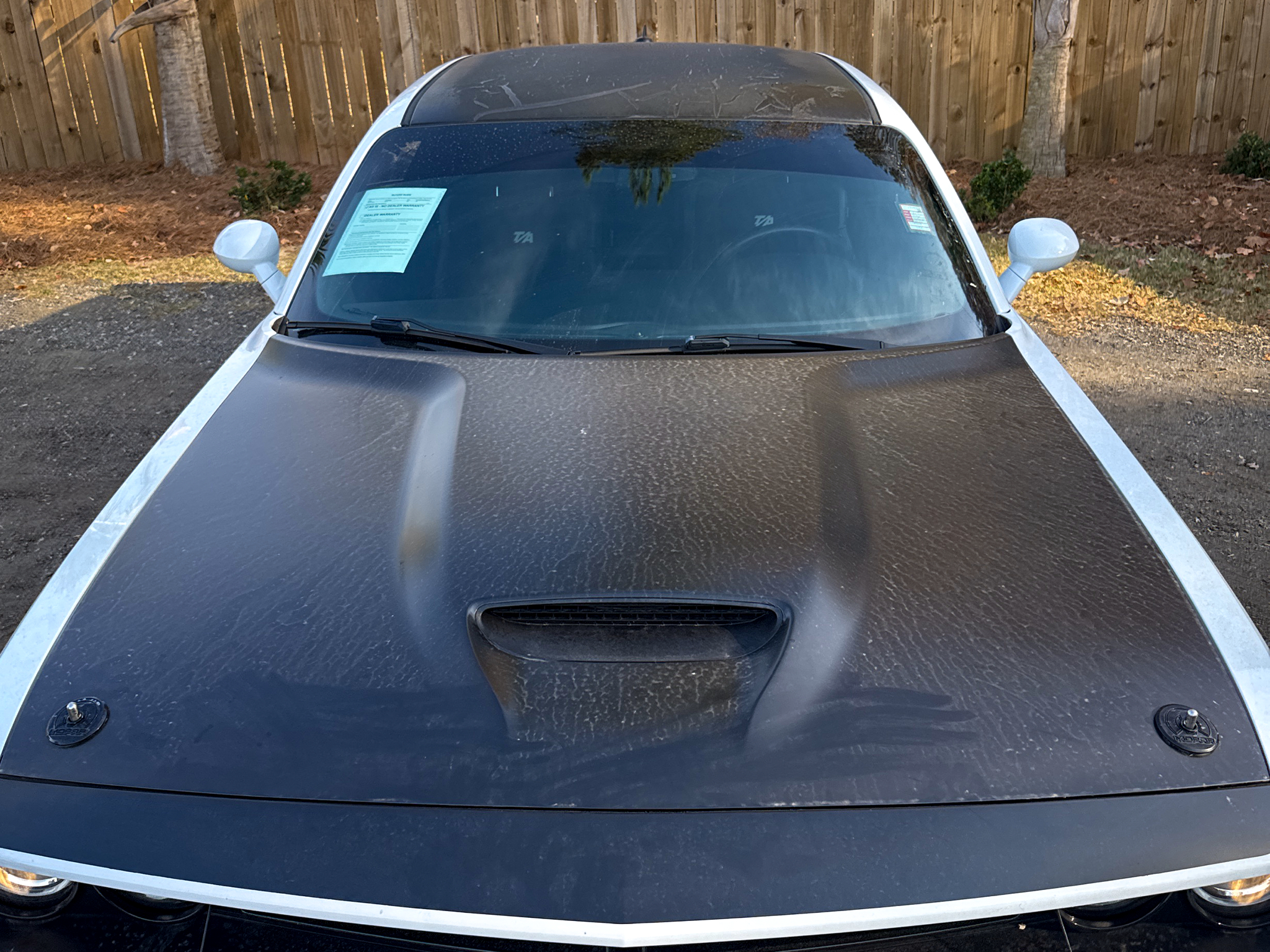 Dodge Challenger T/A 392 Coupe 2017