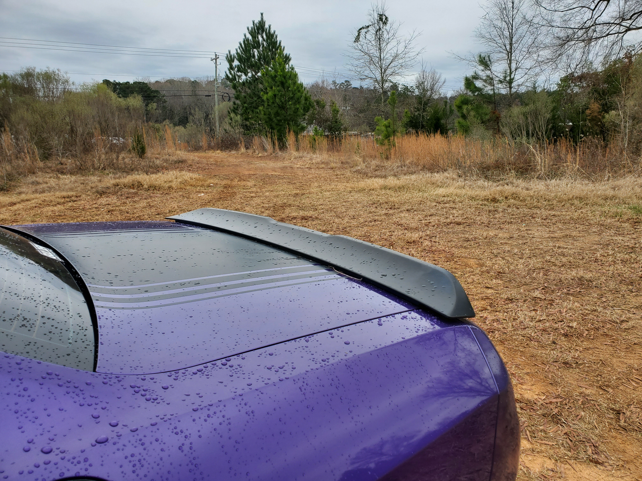 Dodge Challenger  2016
