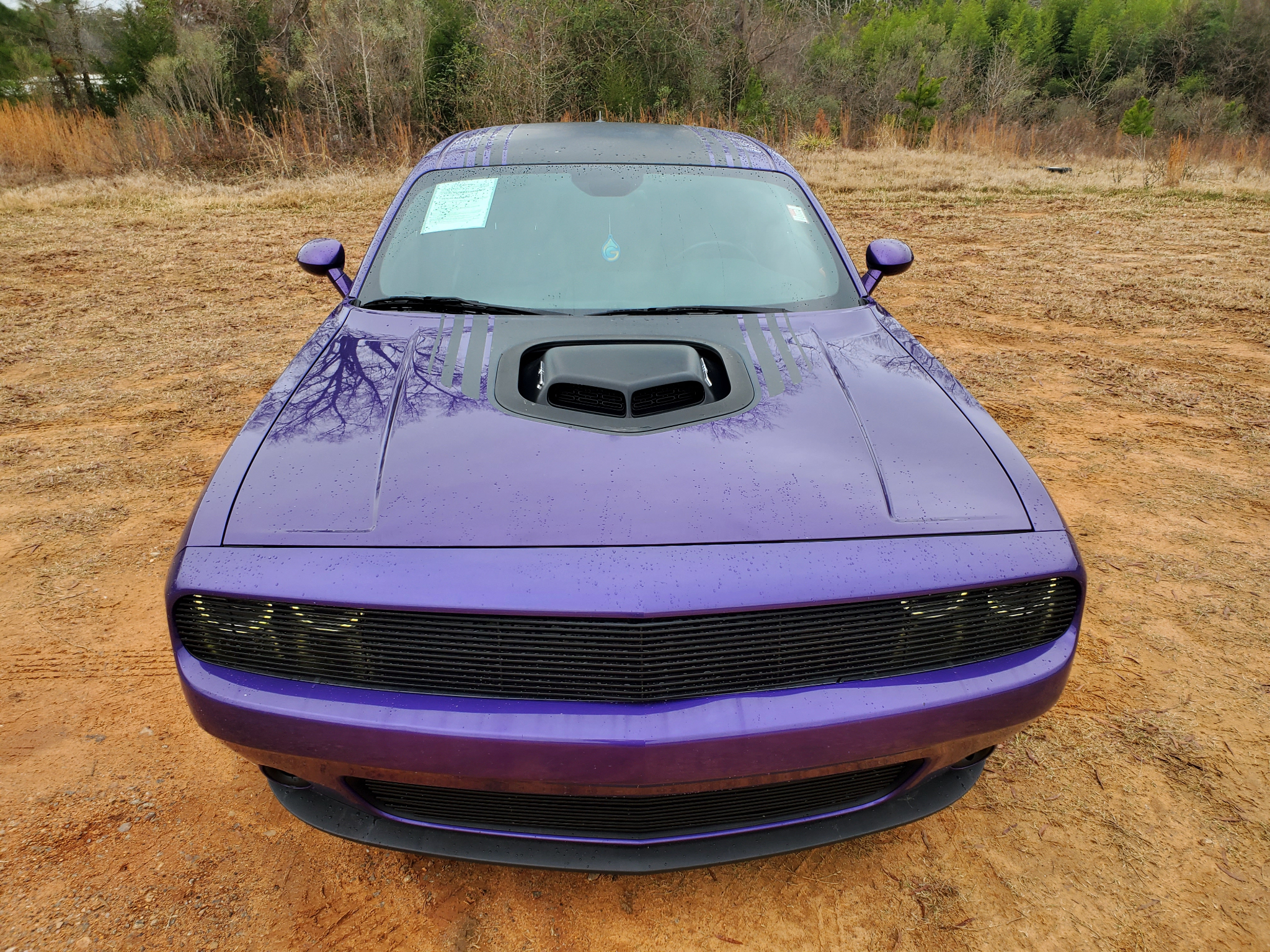 Dodge Challenger  2016