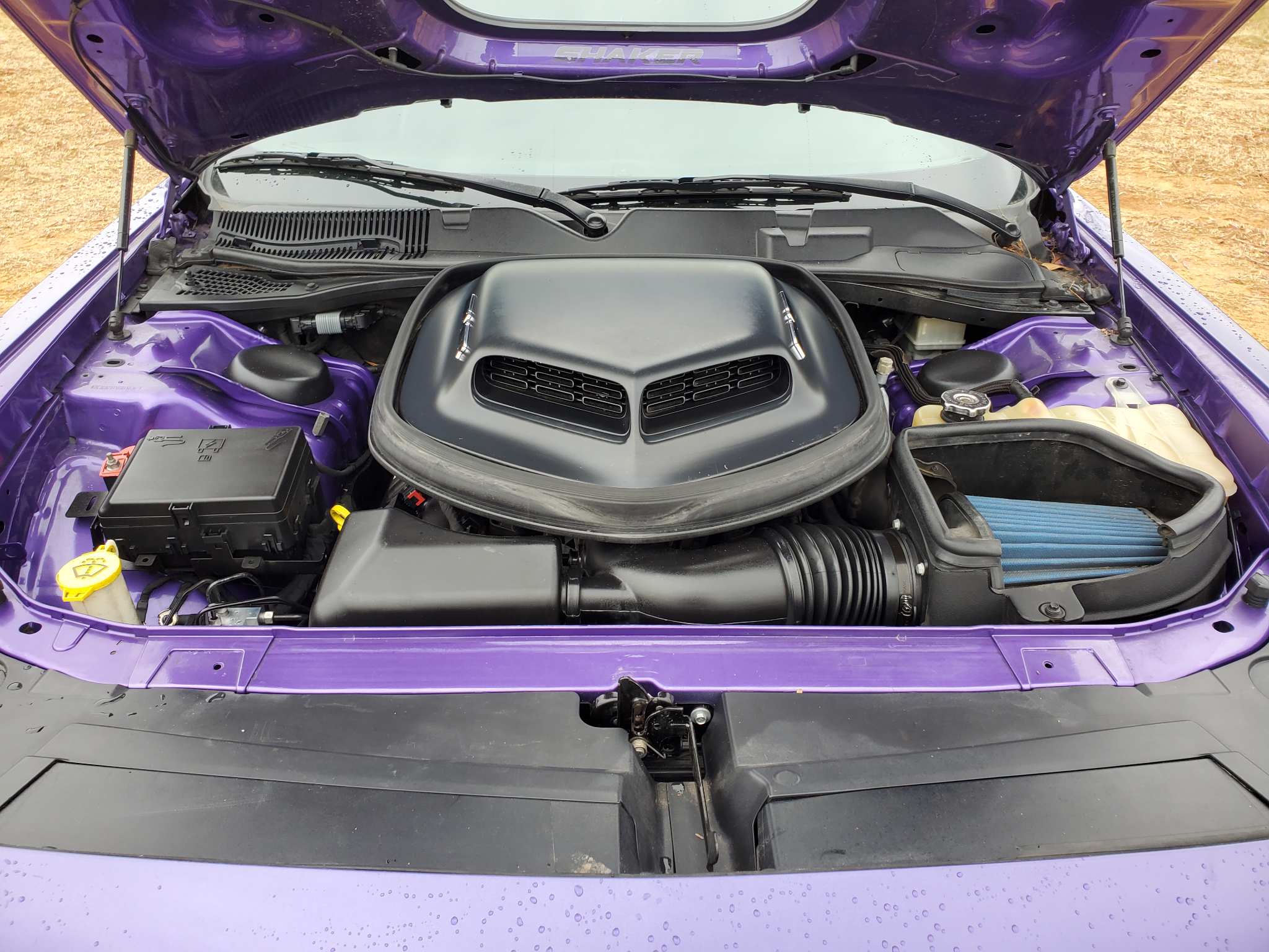 Dodge Challenger  2016