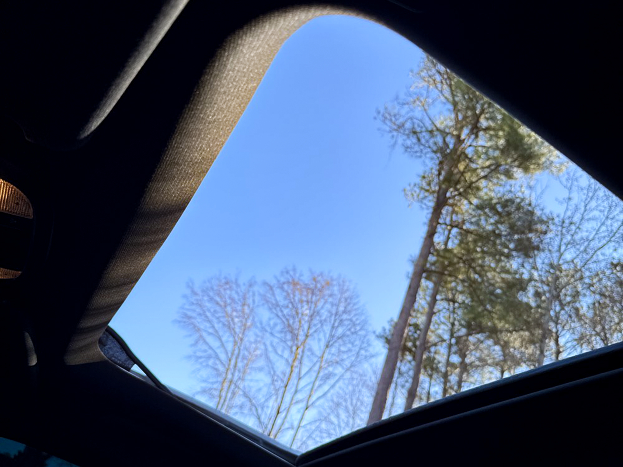 Dodge Charger Scat Pack RWD 2019