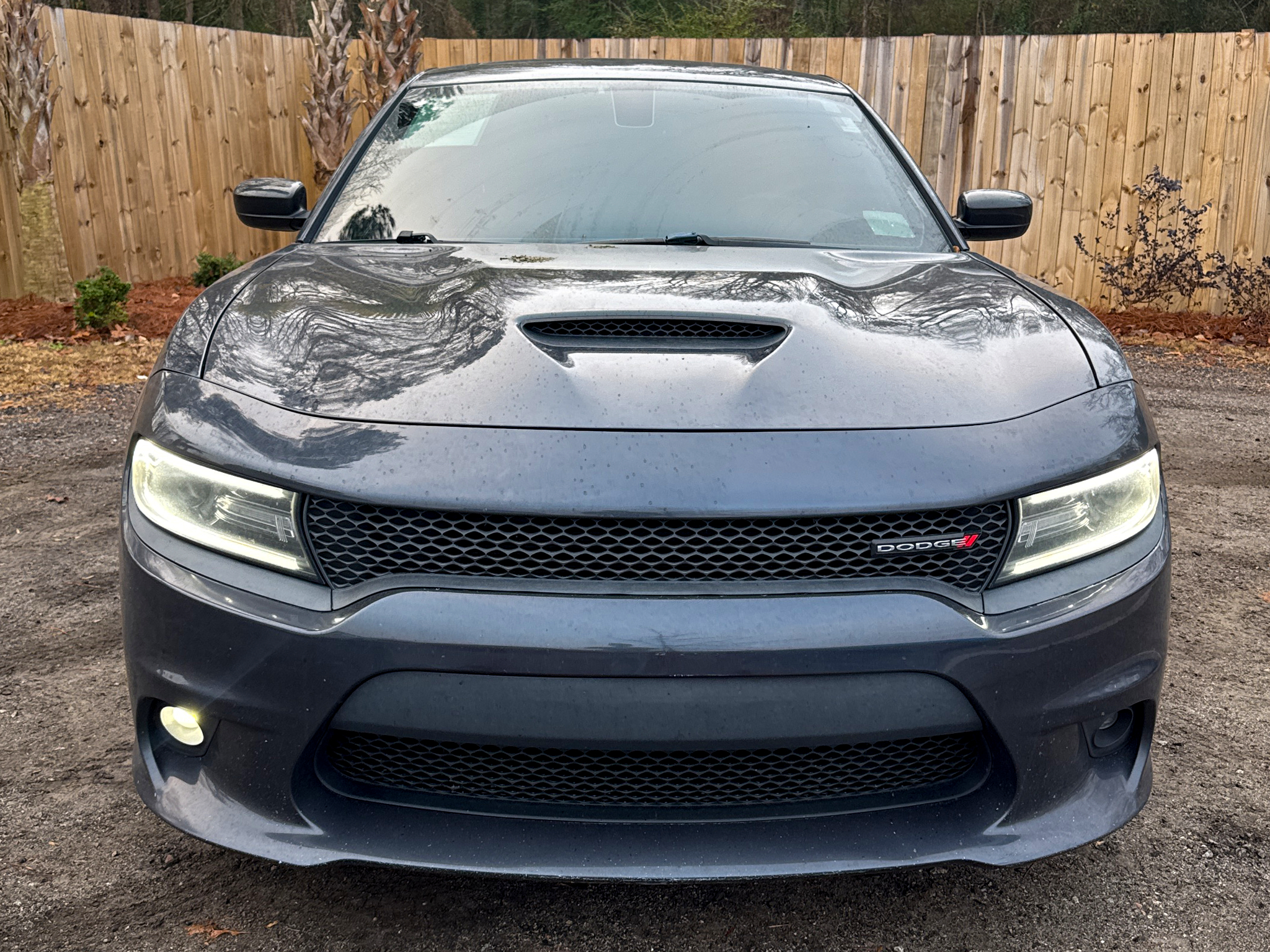 Dodge Charger  2019