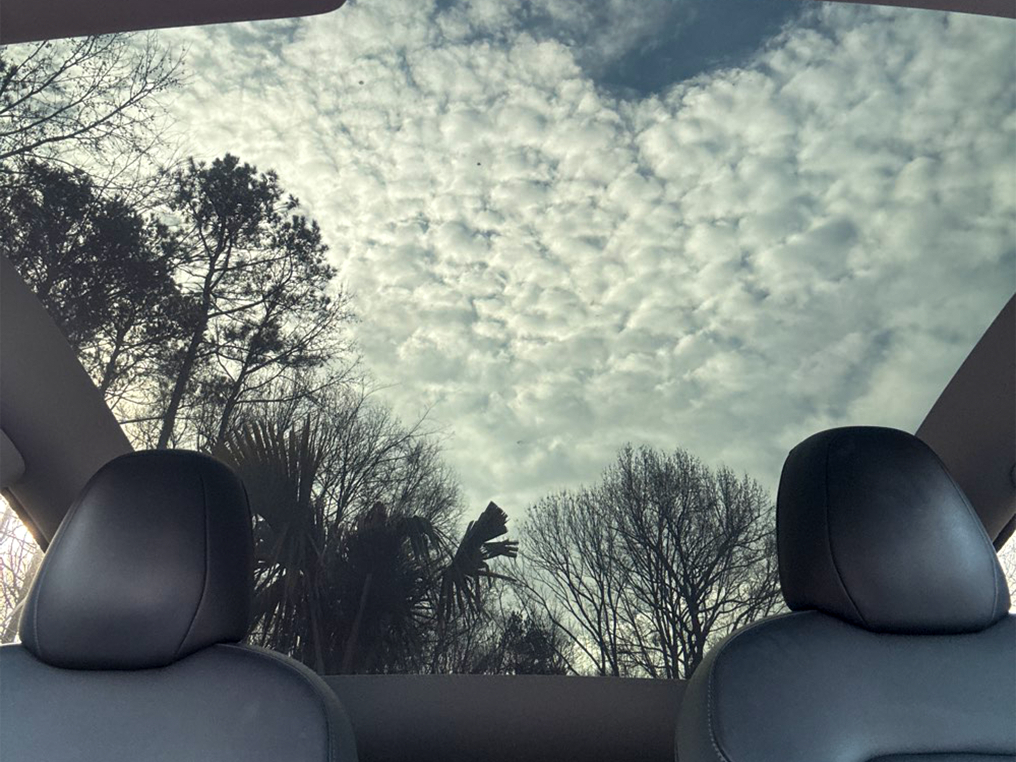 Tesla Model Y Performance AWD 2022