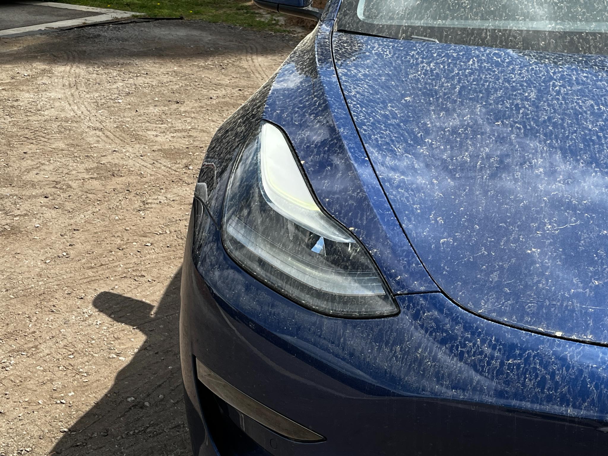 Tesla Model 3 Long Range AWD 2021