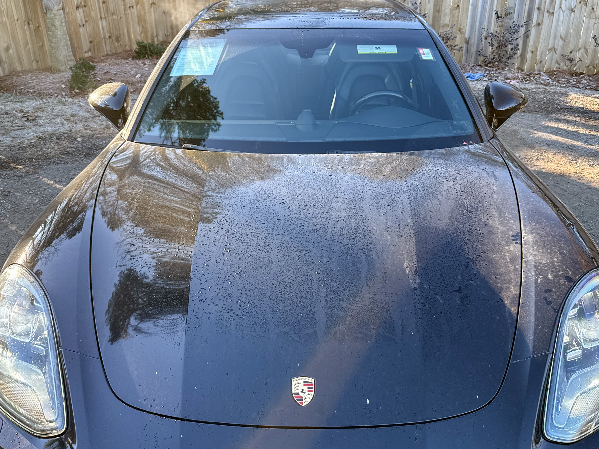 Porsche Panamera 4 2019