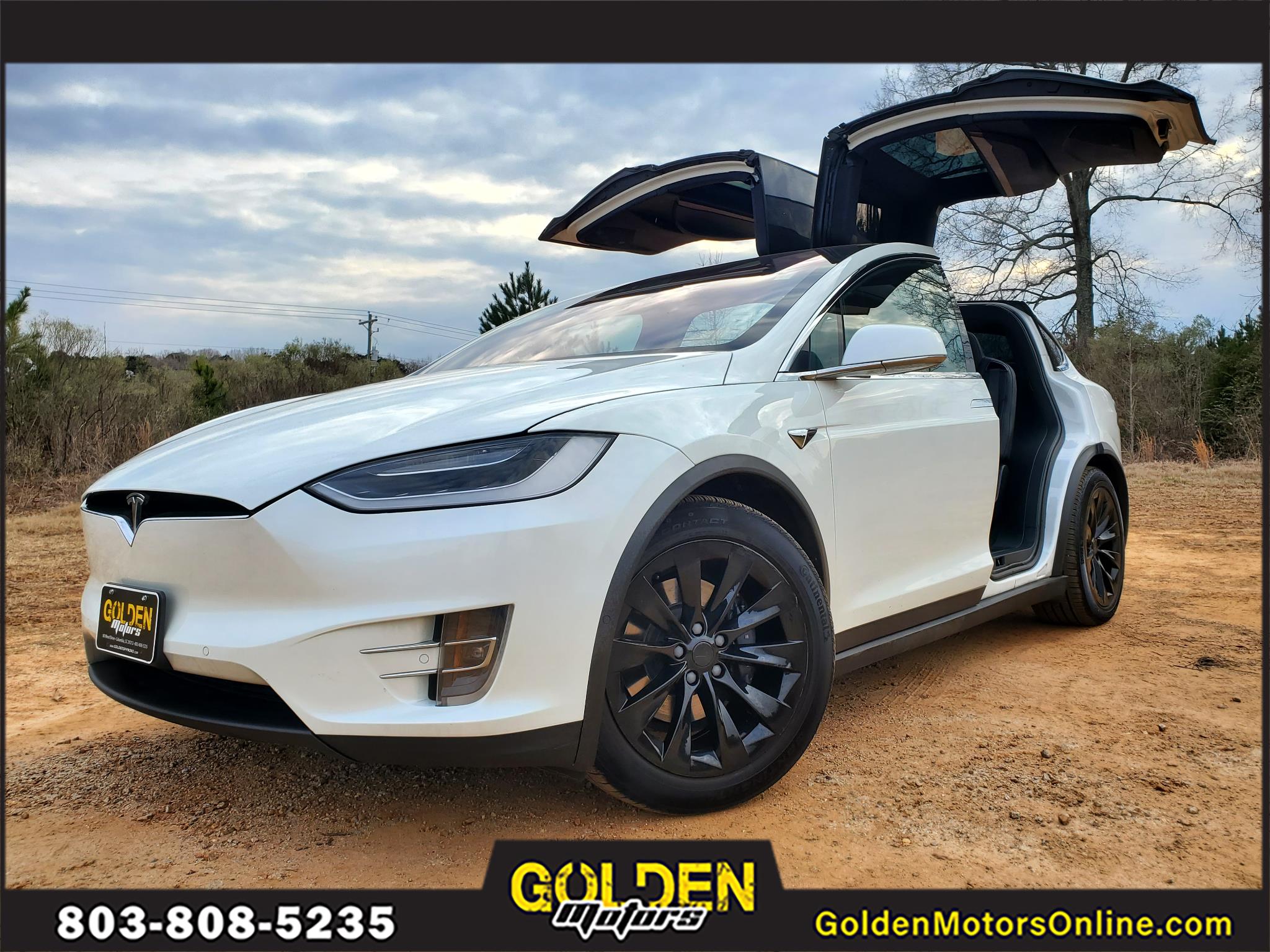 Tesla Model X 75D AWD 2019