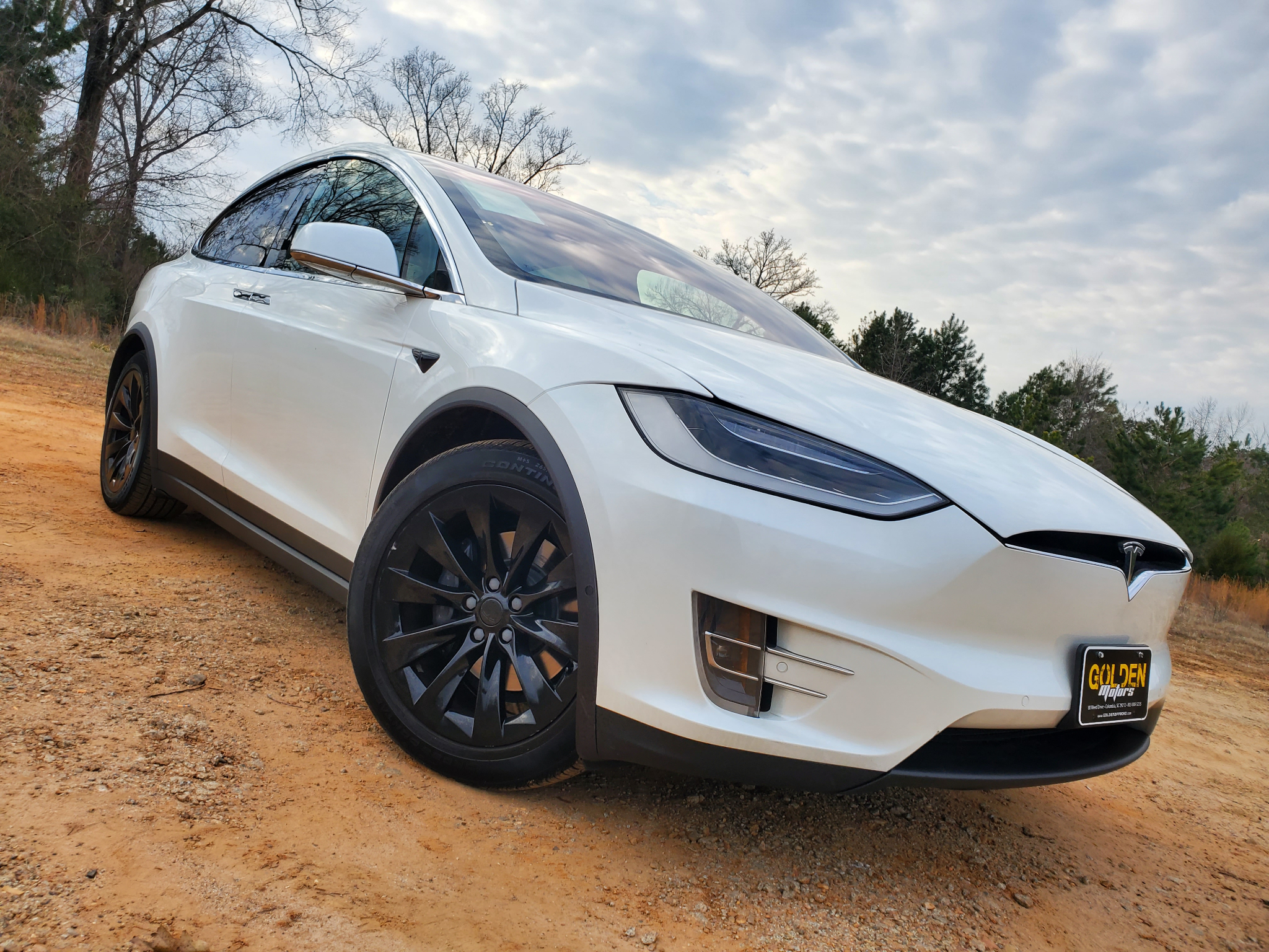 Tesla Model X 75D AWD 2019