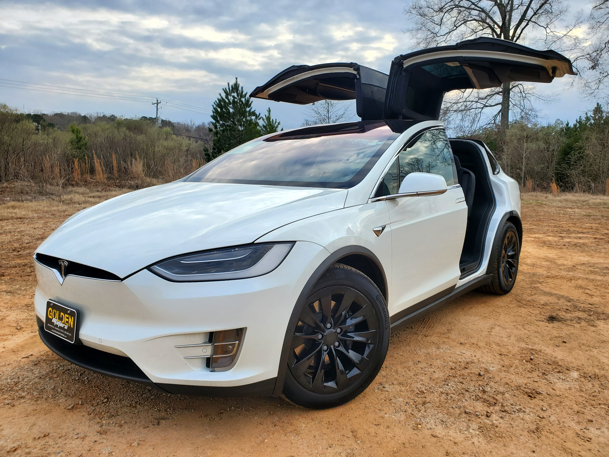 Tesla Model X 75D AWD 2019