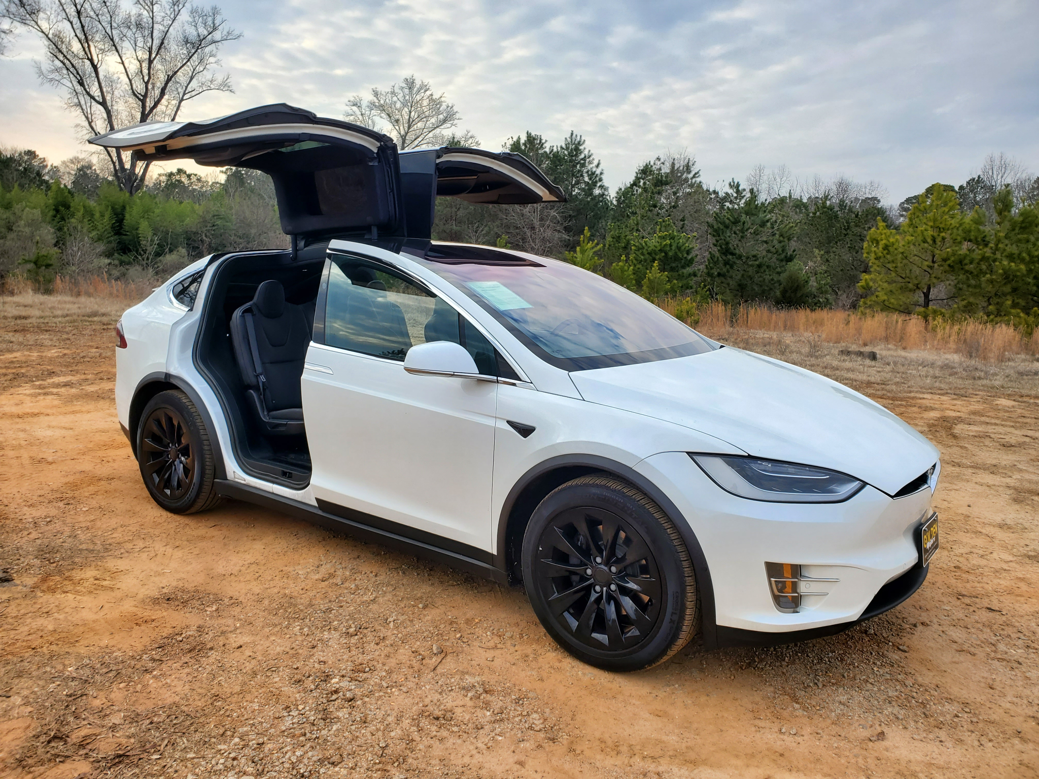 Tesla Model X 75D AWD 2019