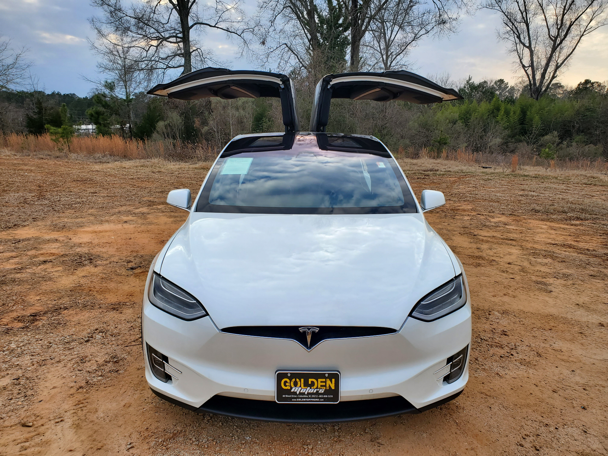 Tesla Model X 75D AWD 2019