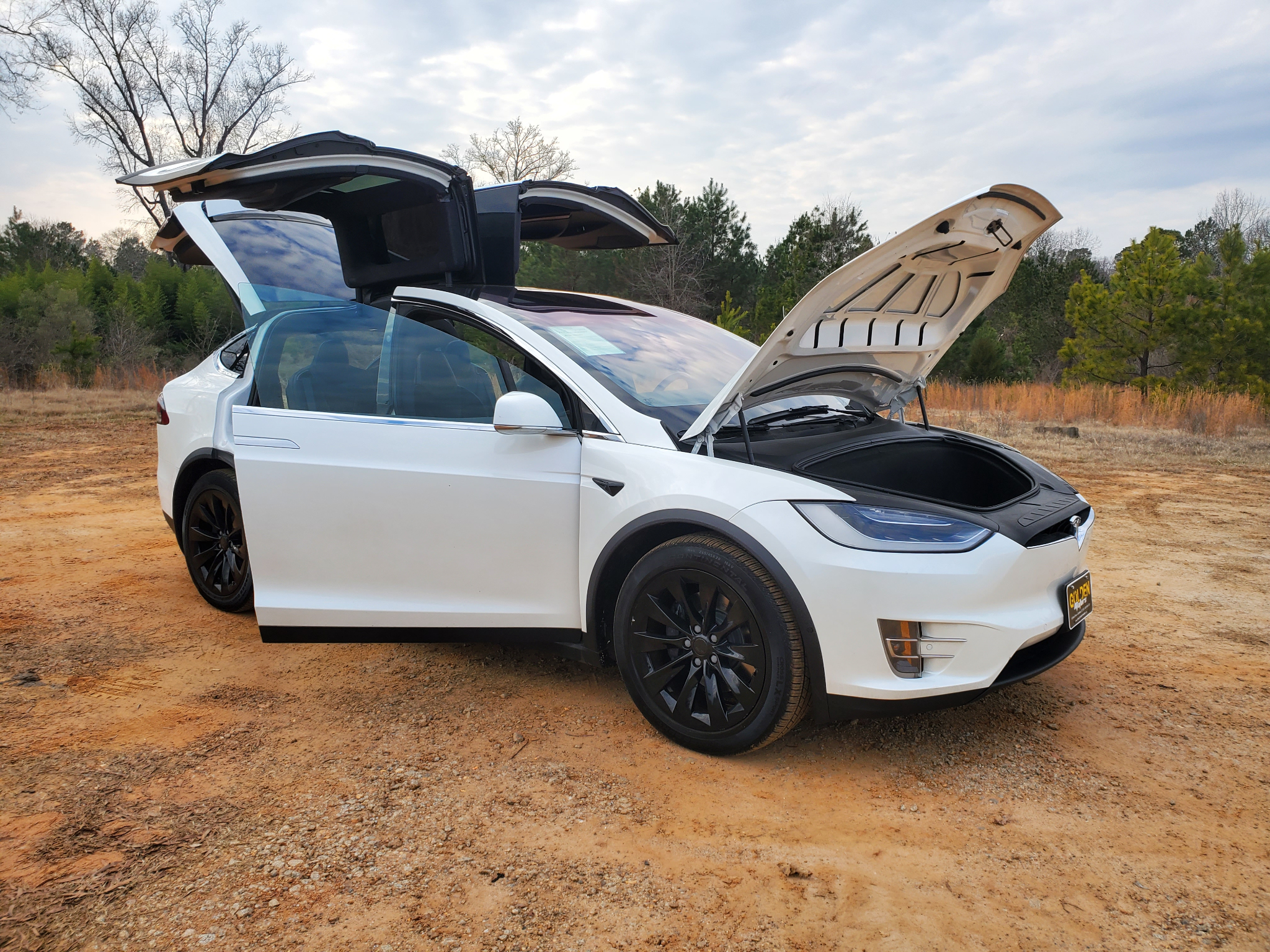 Tesla Model X 75D AWD 2019
