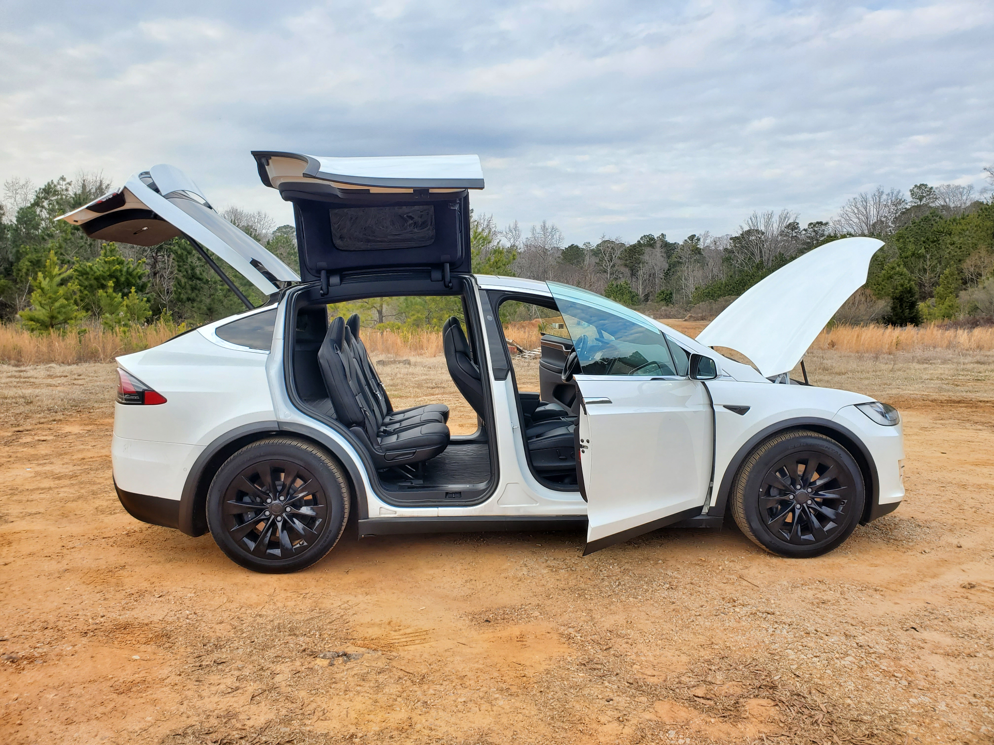Tesla Model X 75D AWD 2019