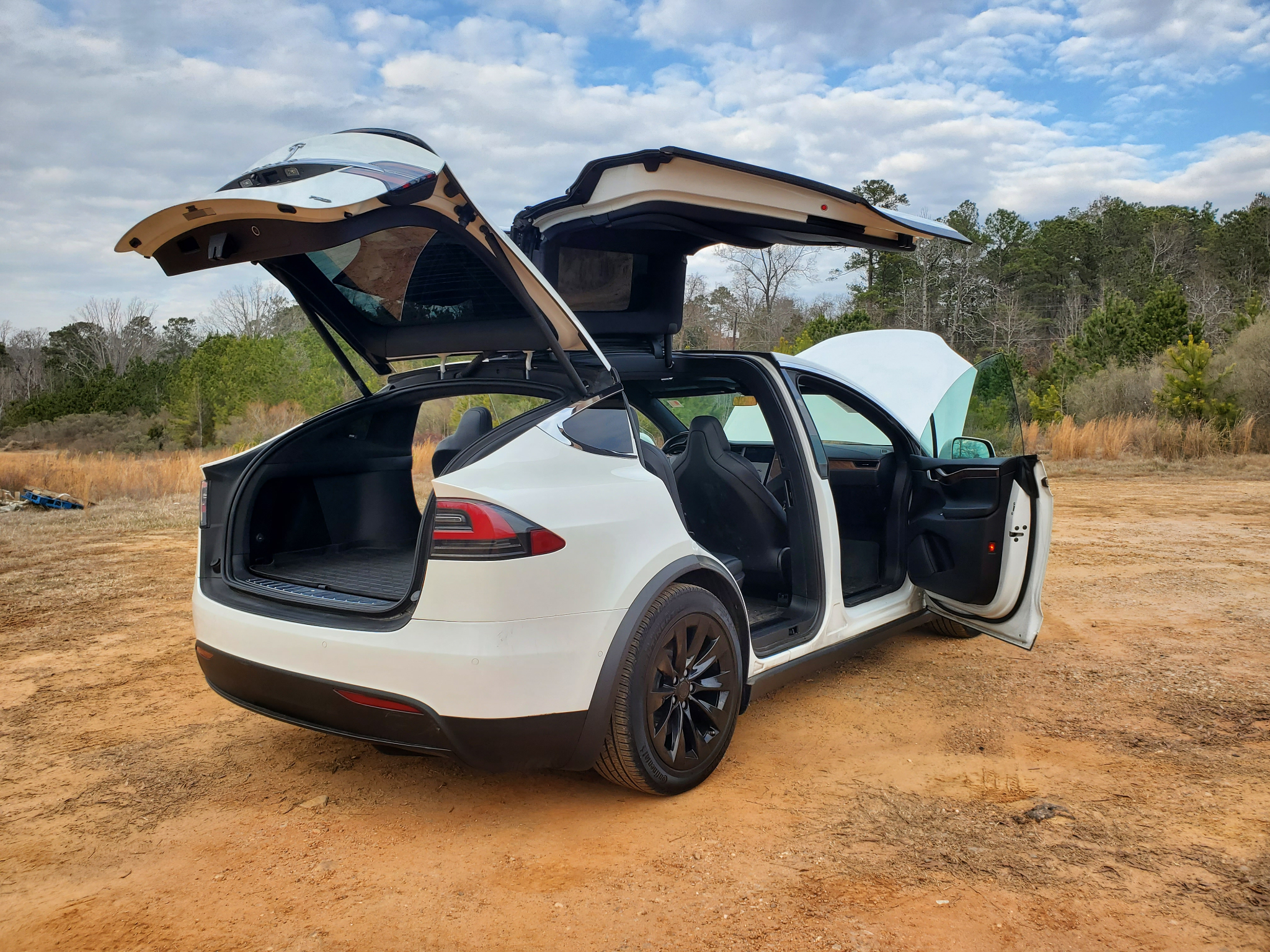 Tesla Model X 75D AWD 2019