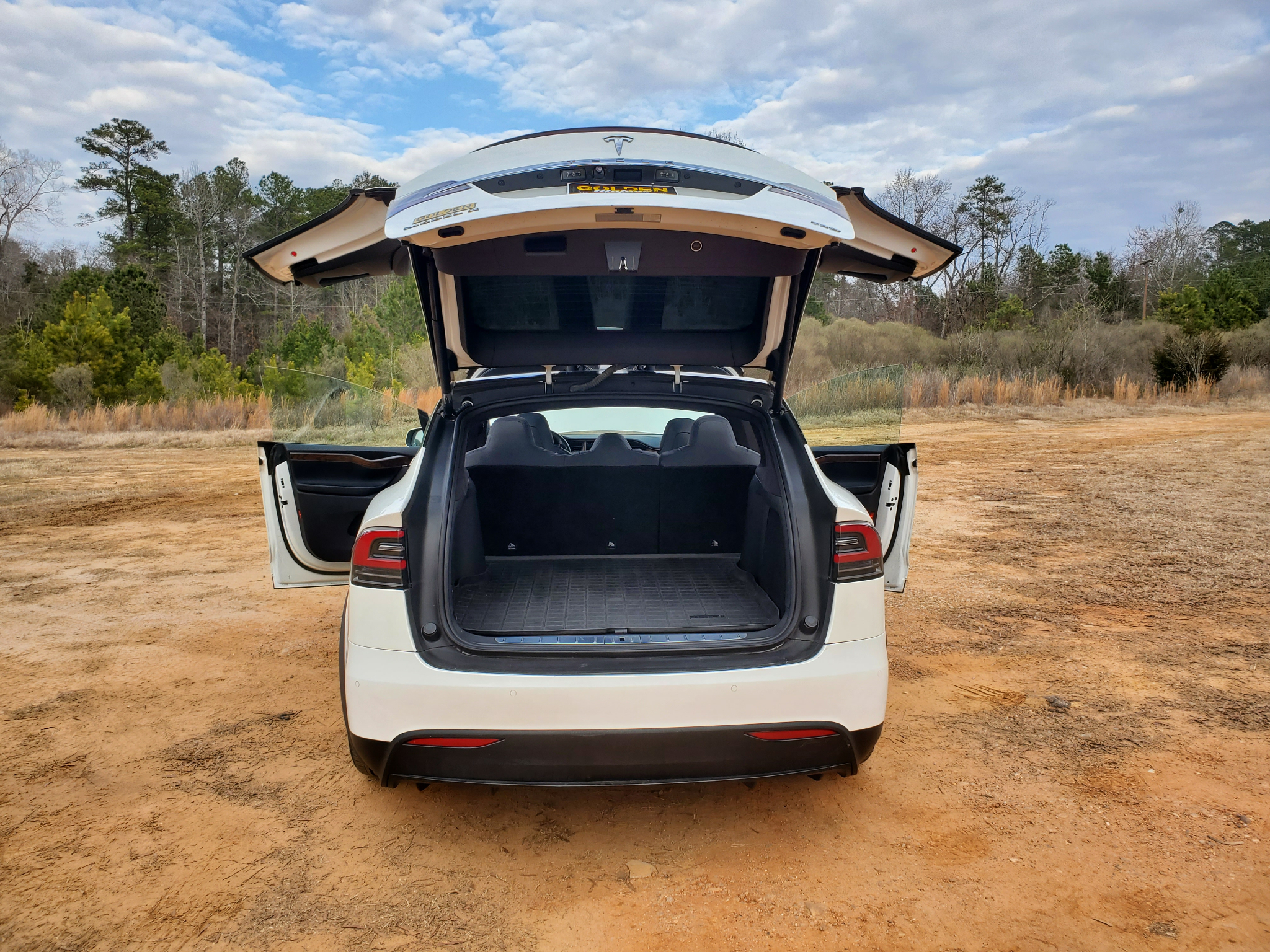 Tesla Model X 75D AWD 2019