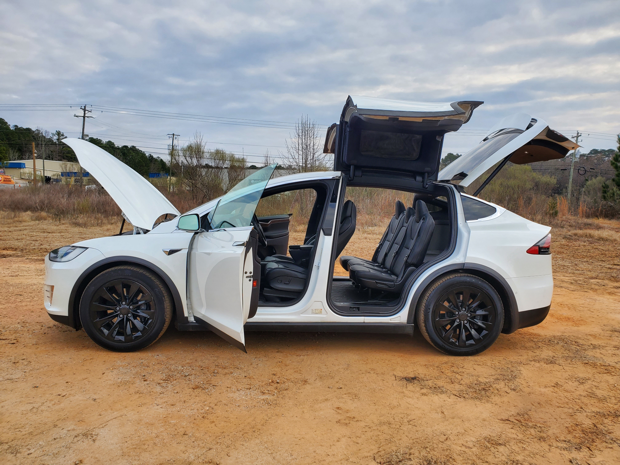Tesla Model X 75D AWD 2019