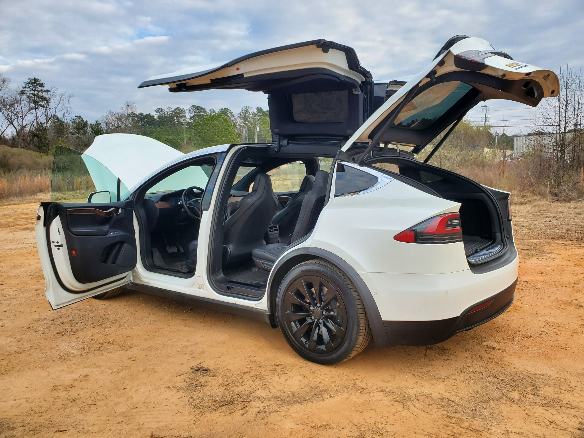 Tesla Model X 75D AWD 2019