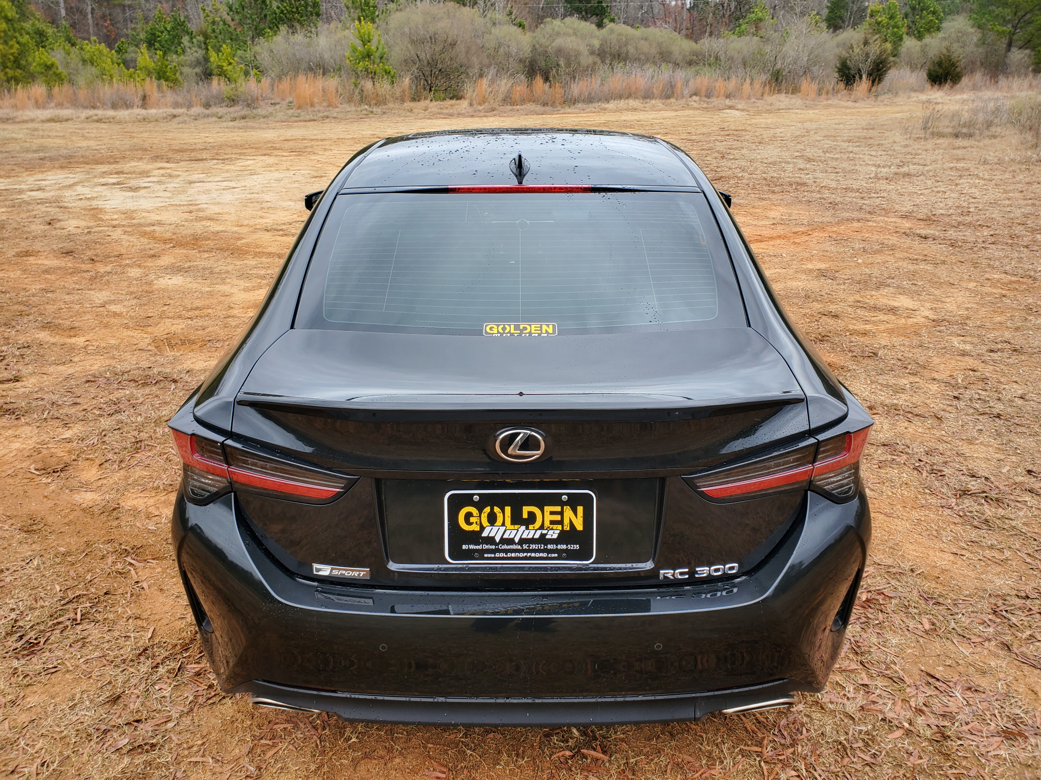 Lexus RC RC 300 RWD 2019