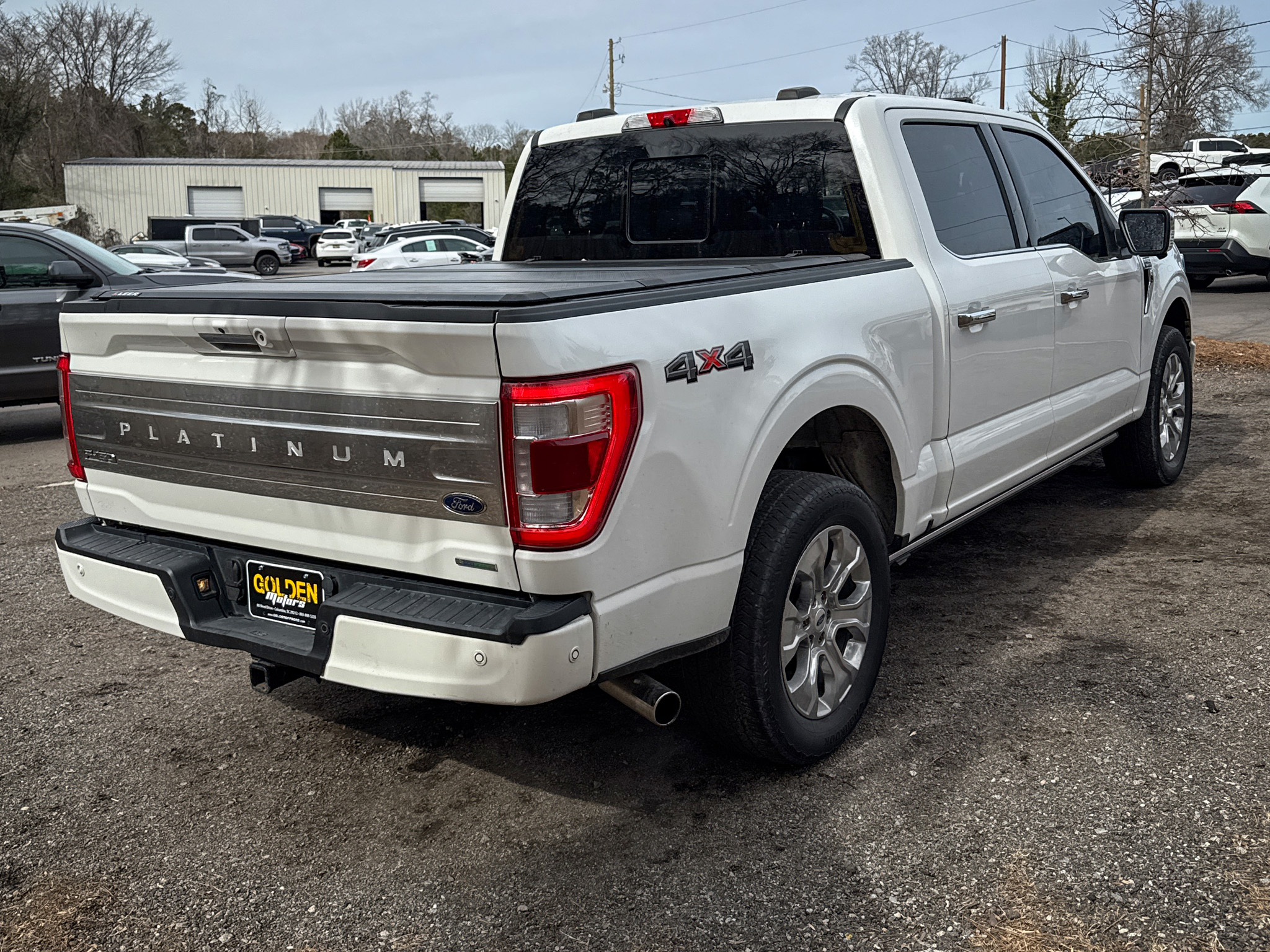 Ford F-150 Platinum SuperCrew 4WD 2022