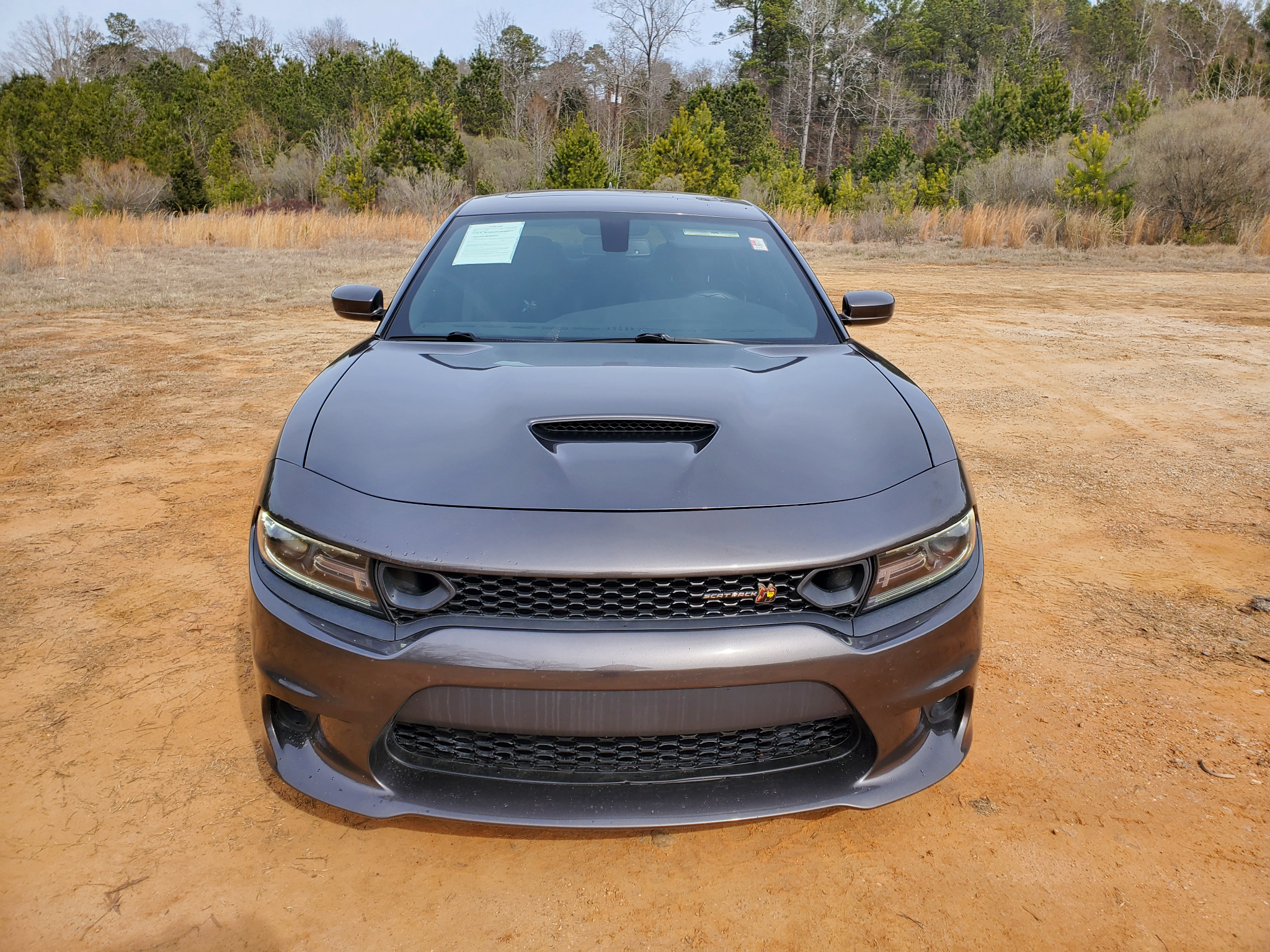 Dodge Charger  2019