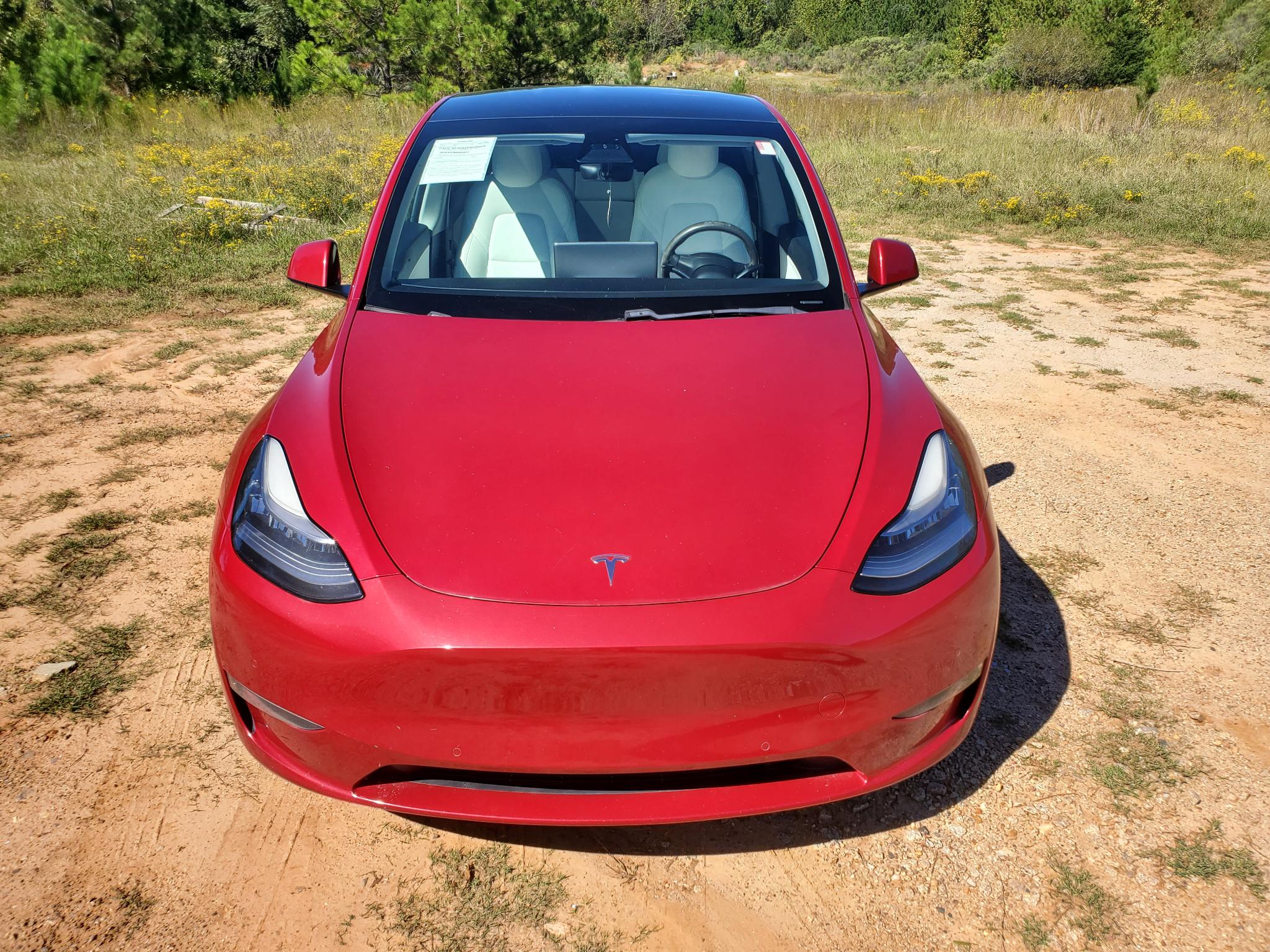 Tesla Model Y Performance AWD 2021