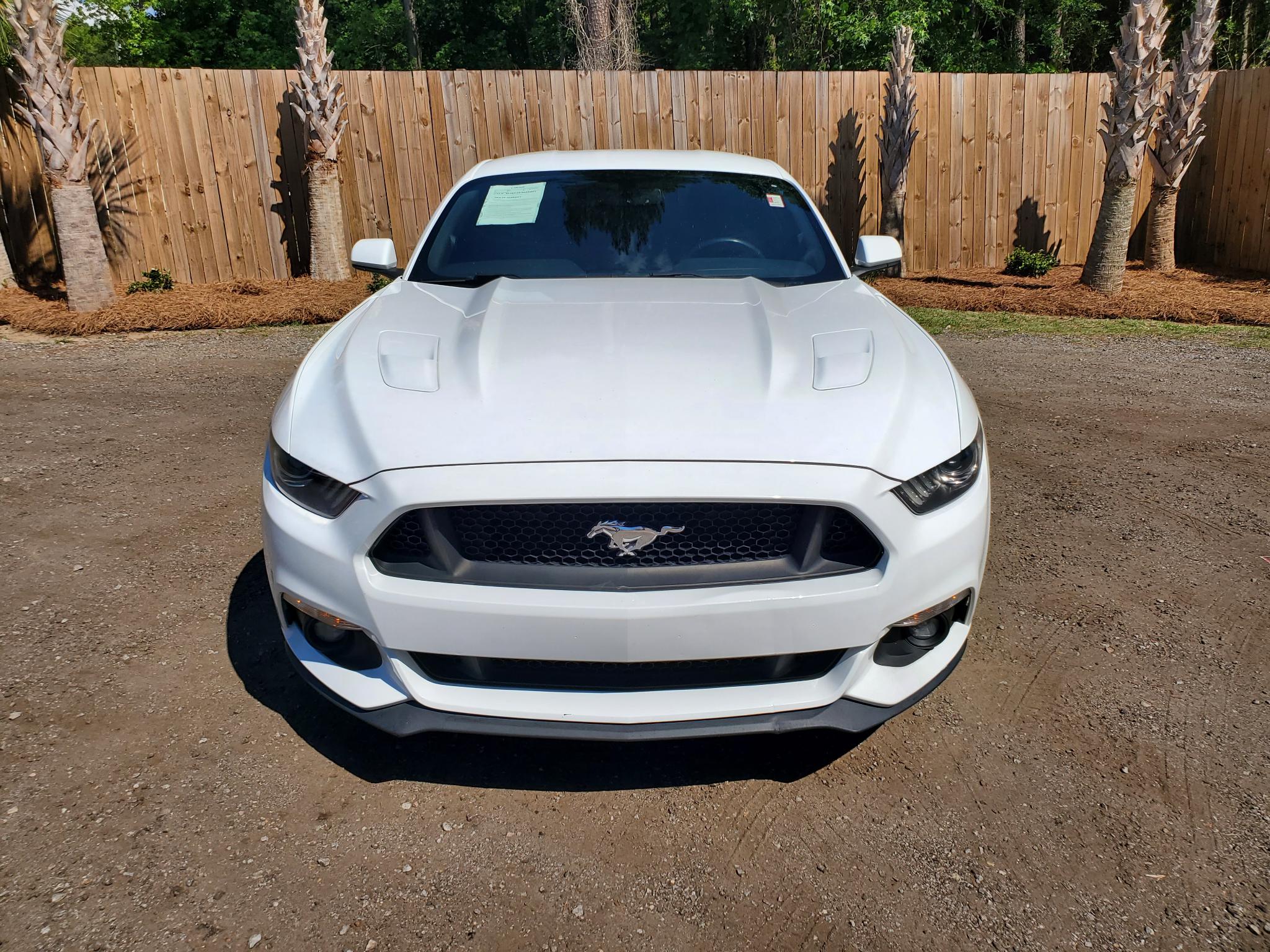 Ford Mustang GT Fastback 2017