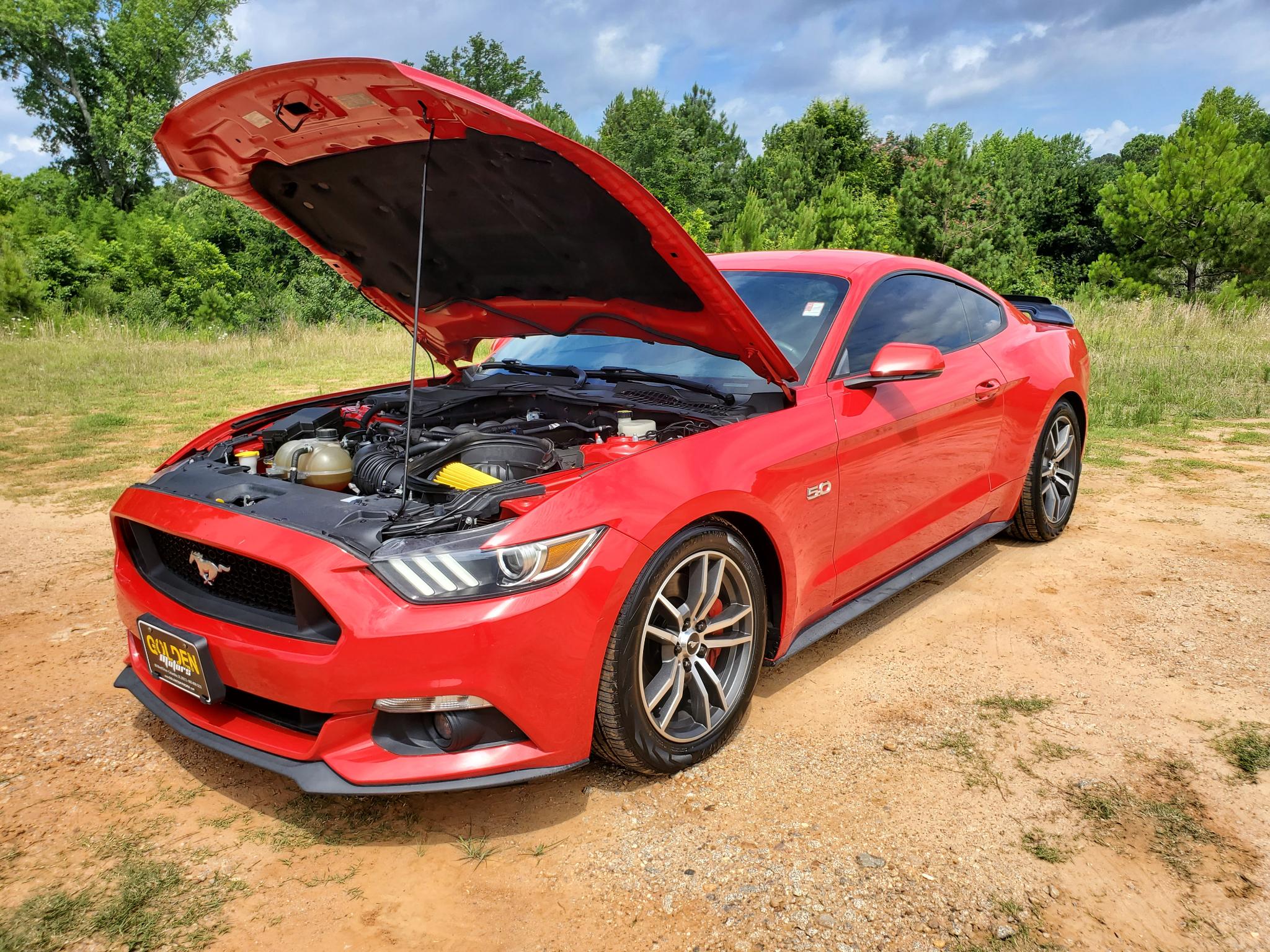 Ford Mustang  2015