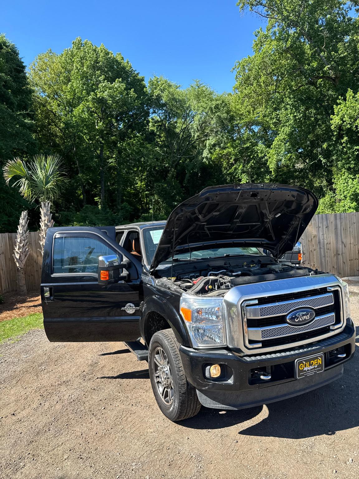Ford Super Duty F-250 SRW 4WD Crew Cab 172" Platinum 2016