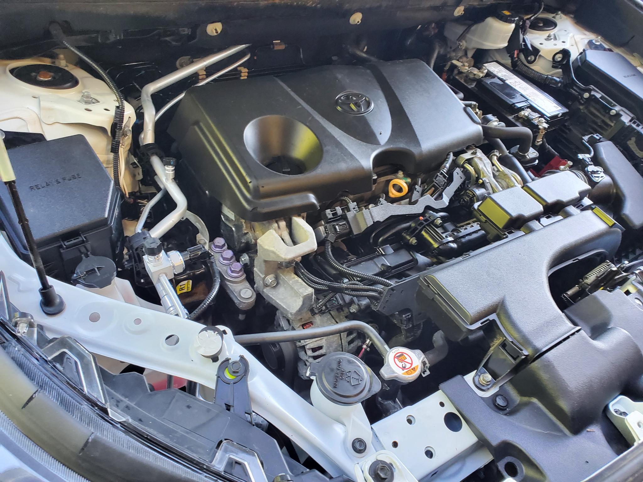 Toyota RAV4 XLE FWD (Natl) 2019