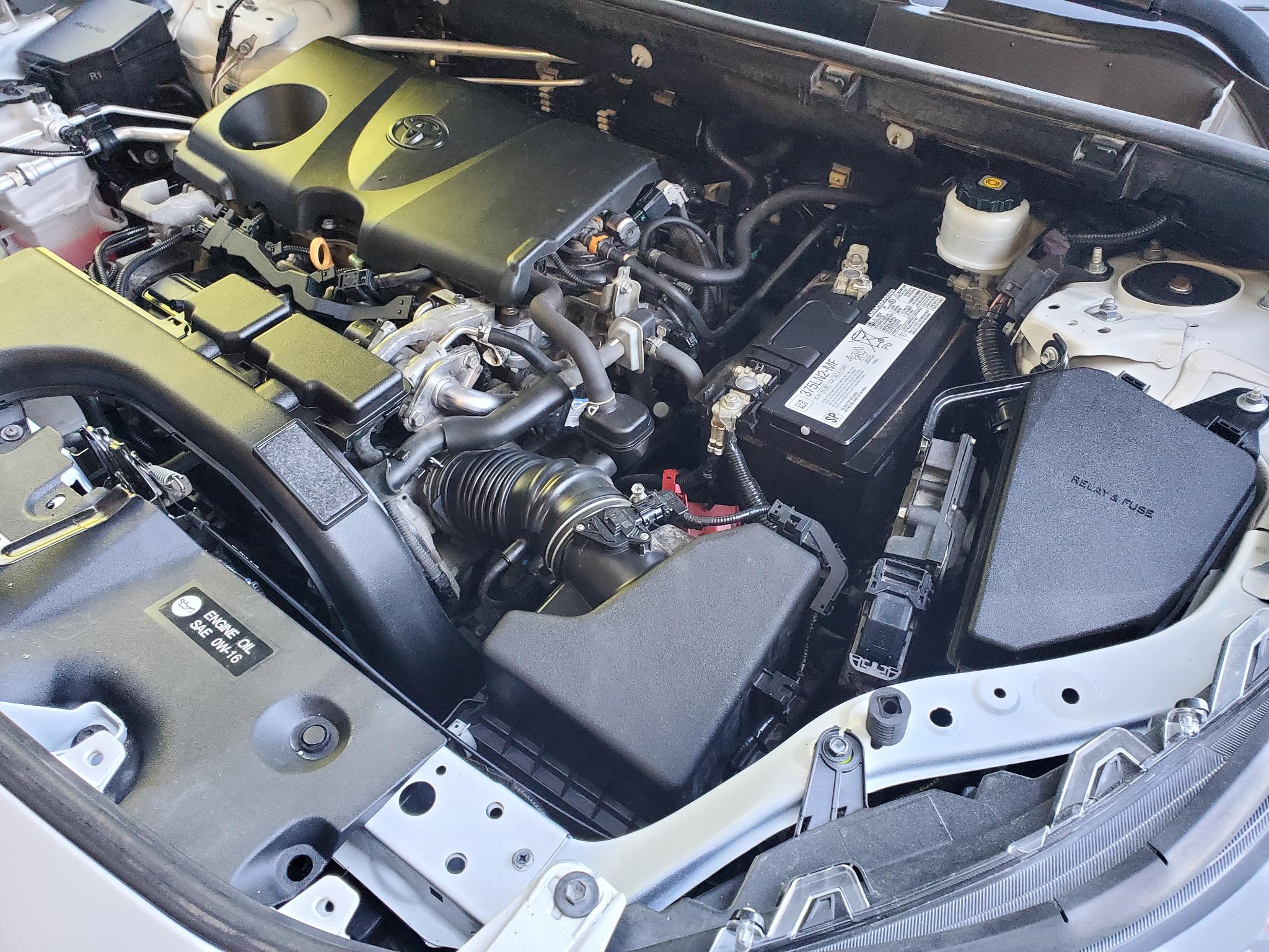 Toyota RAV4 XLE FWD (Natl) 2019