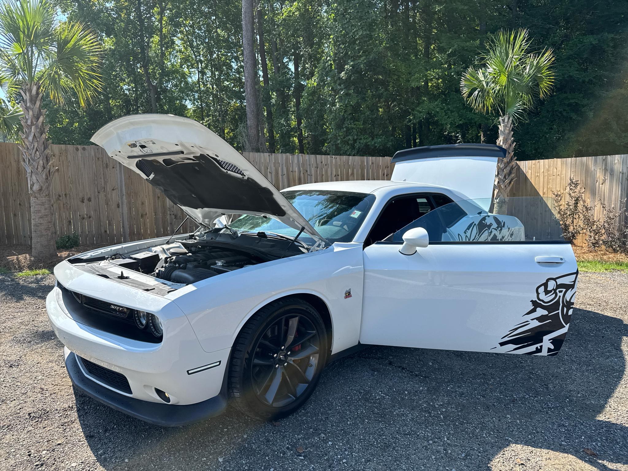 Dodge Challenger R/T Scat Pack RWD 2019