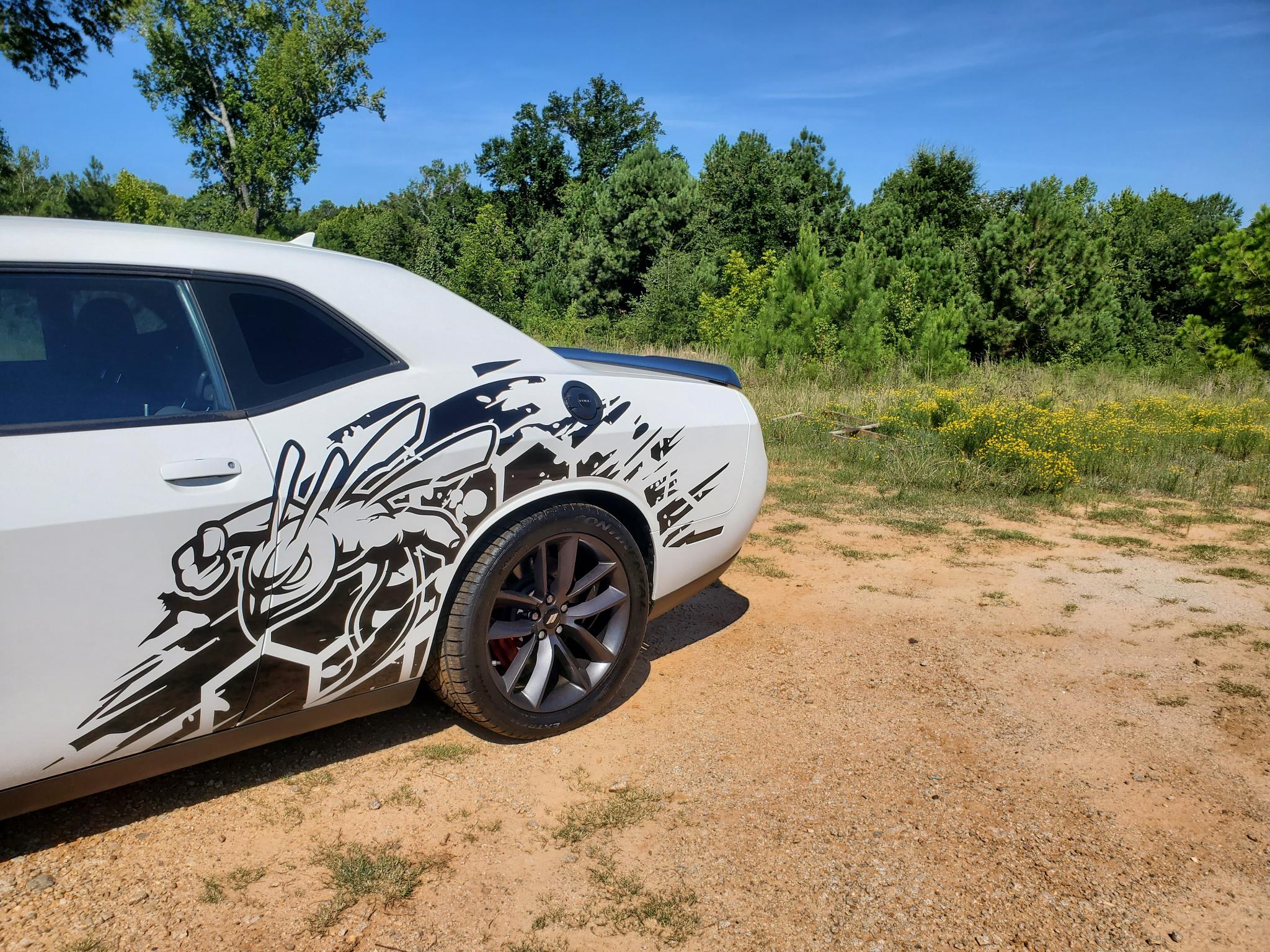 Dodge Challenger R/T Scat Pack RWD 2019