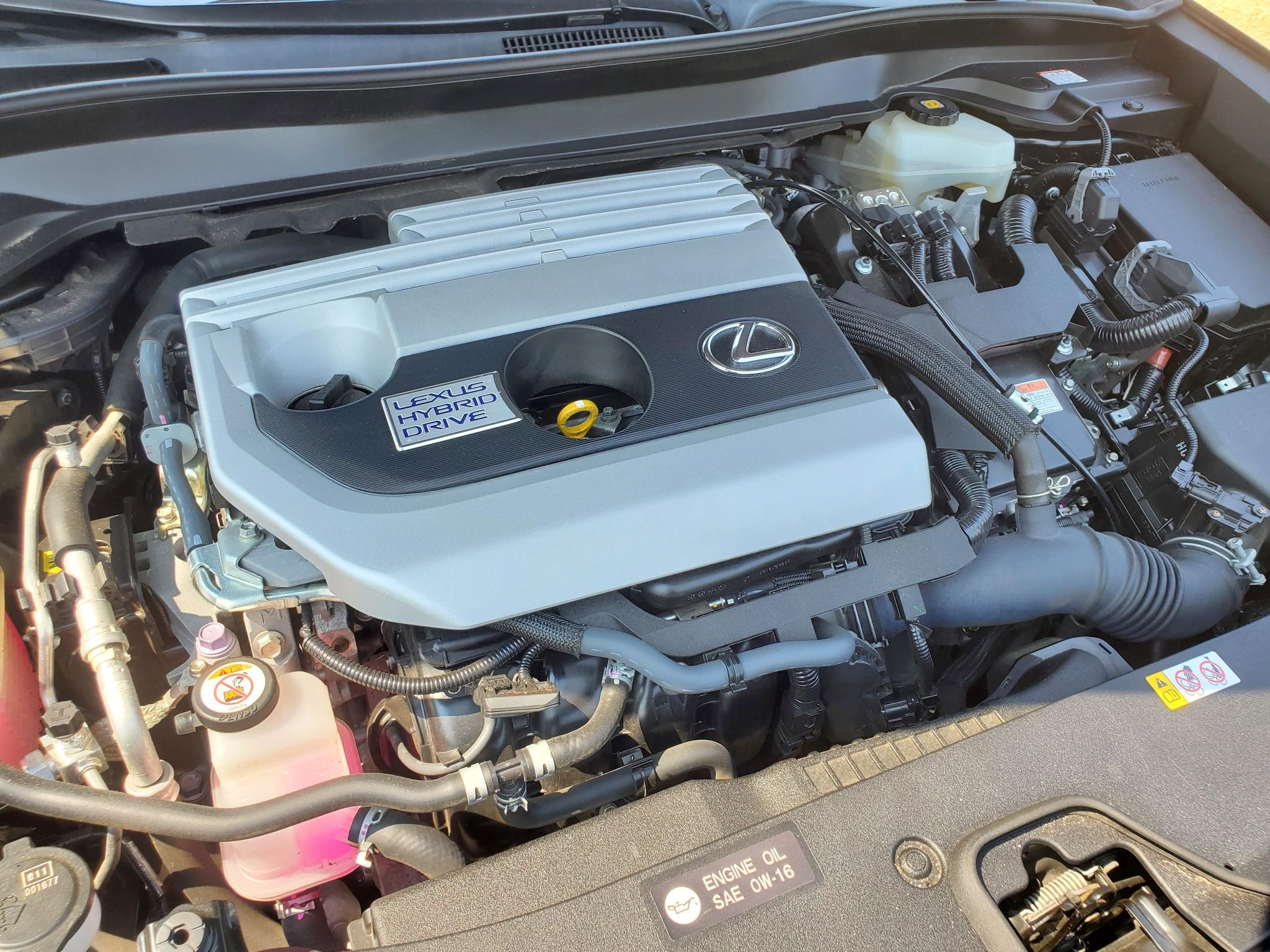 Lexus UX  2019