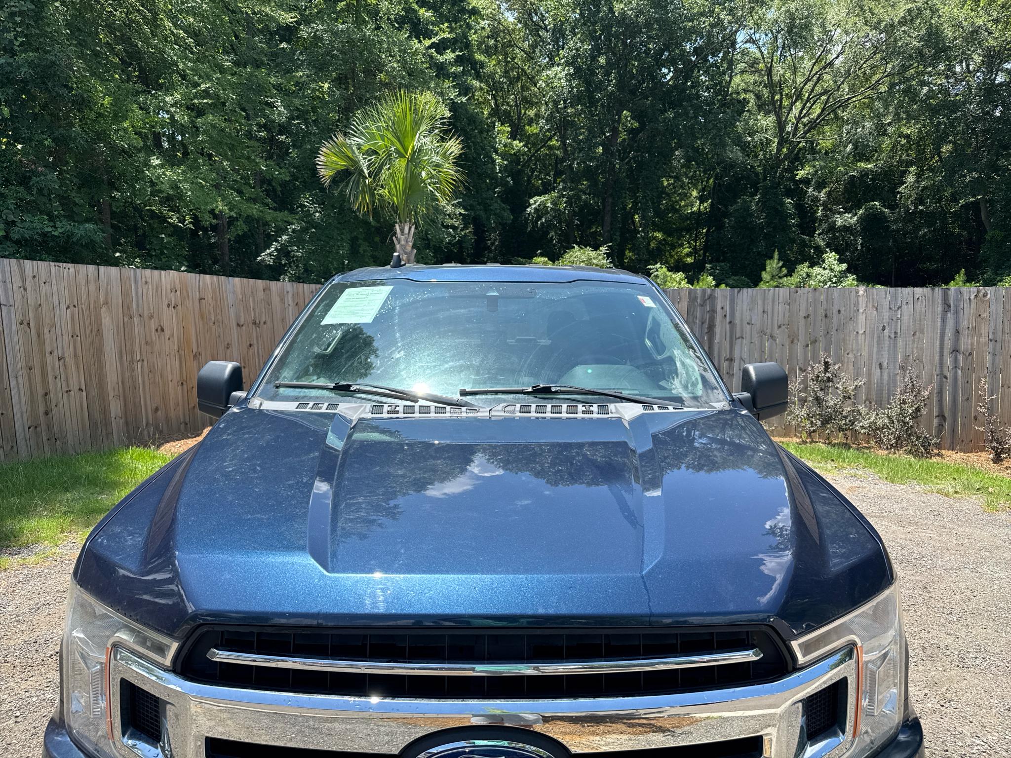 Ford F-150  2019